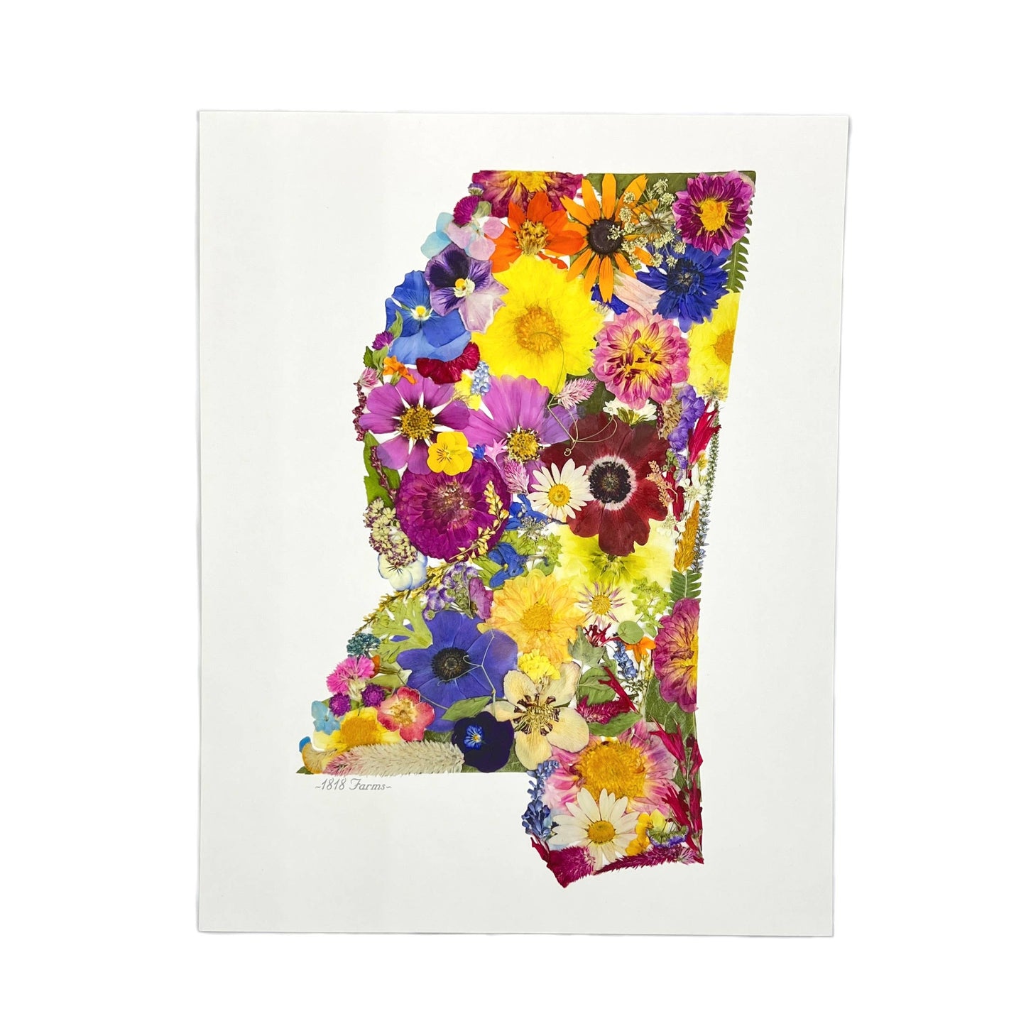 "Where I Bloom" State Giclée Print: 8" x 10" / MS