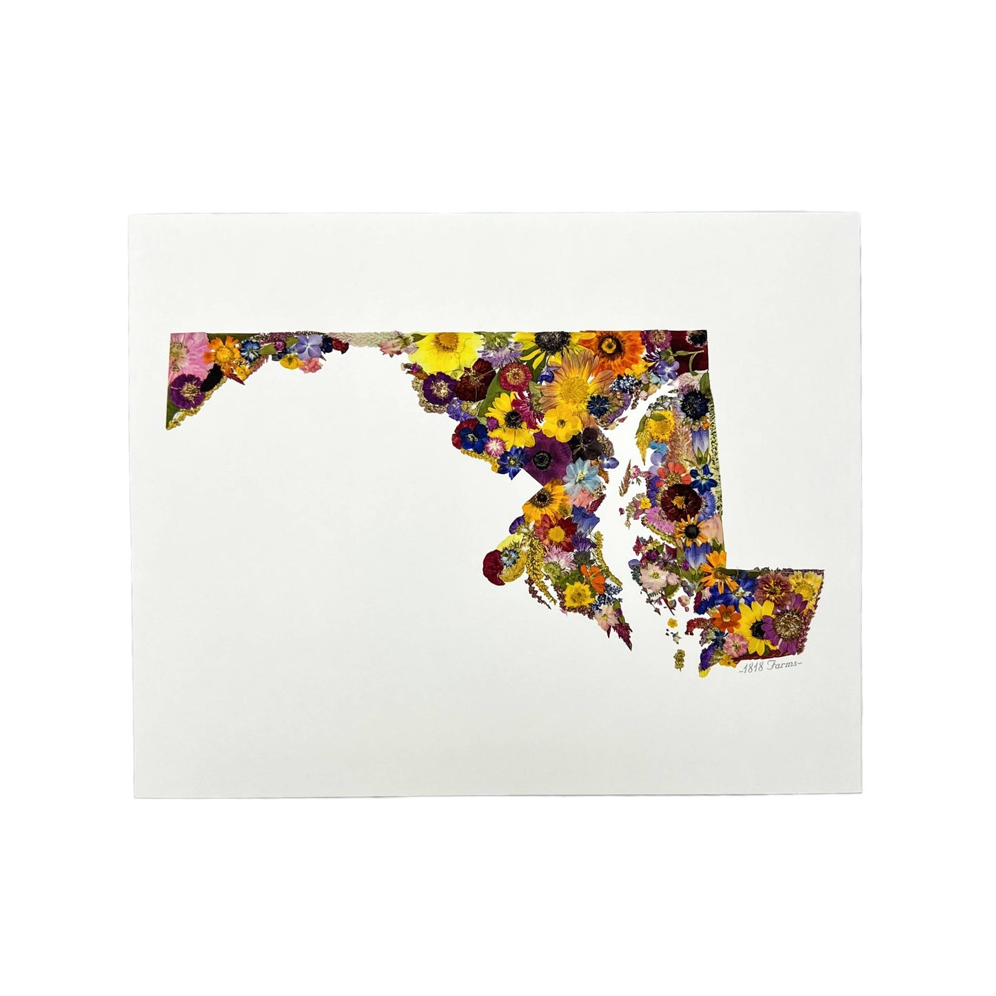 "Where I Bloom" State Giclée Print: 8" x 10" / MS