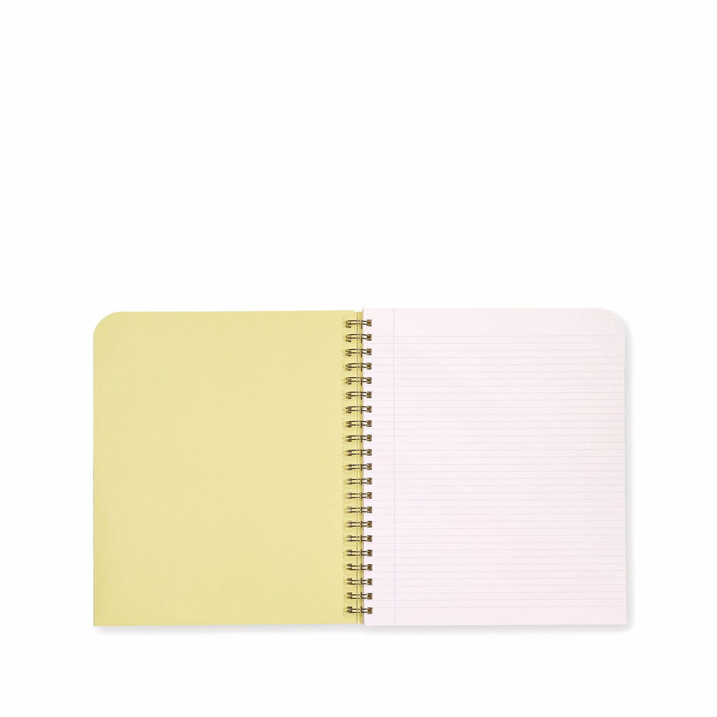 Amelin Archive Chagall Sprial Notebook