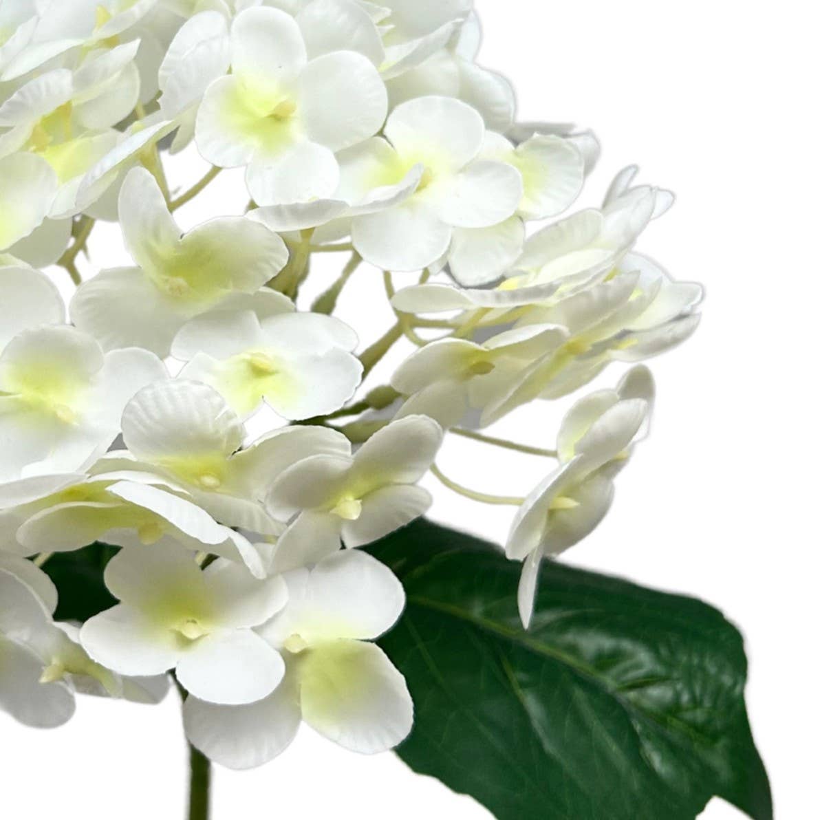 Fresh Touch Hydrangea Spray - White - 18”