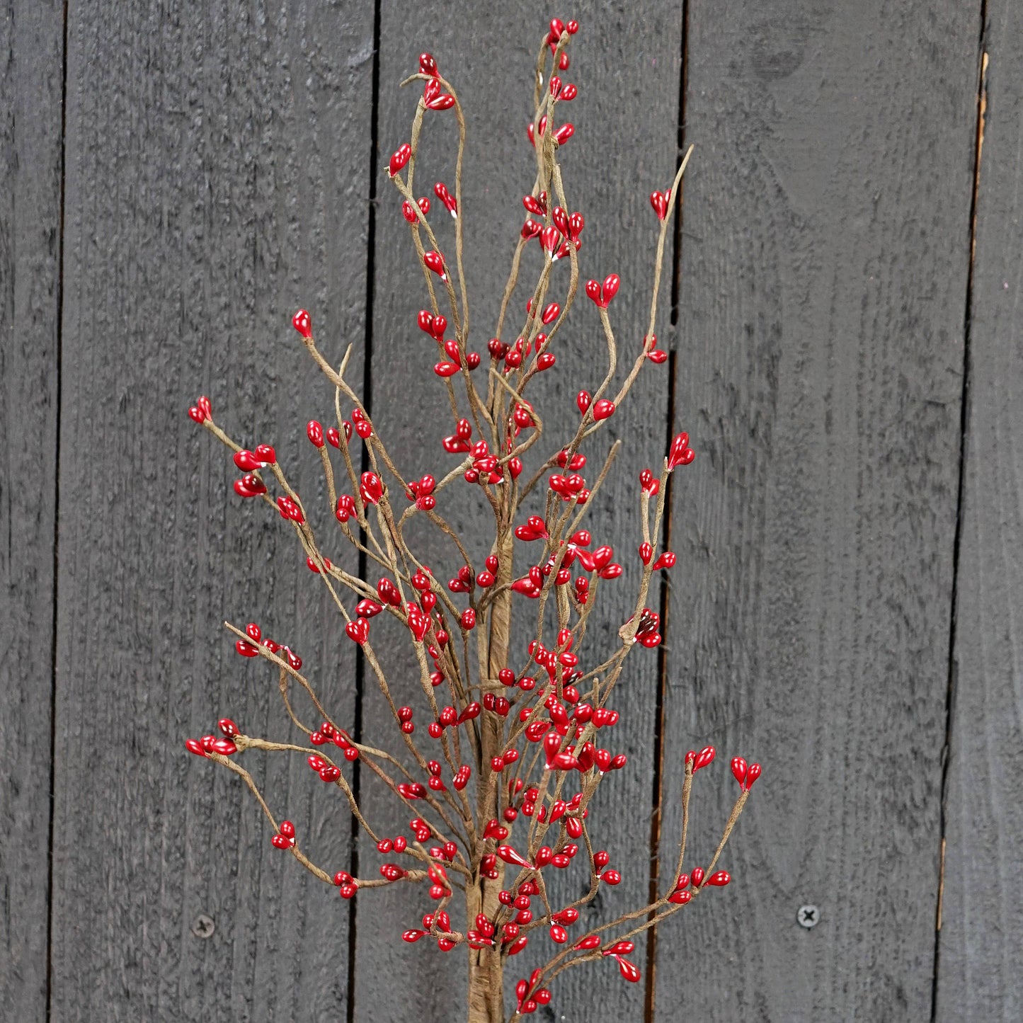 ISB13600RD- 20in Pips Spray-Red