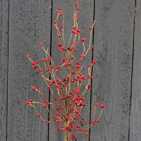 ISB13600RD- 20in Pips Spray-Red