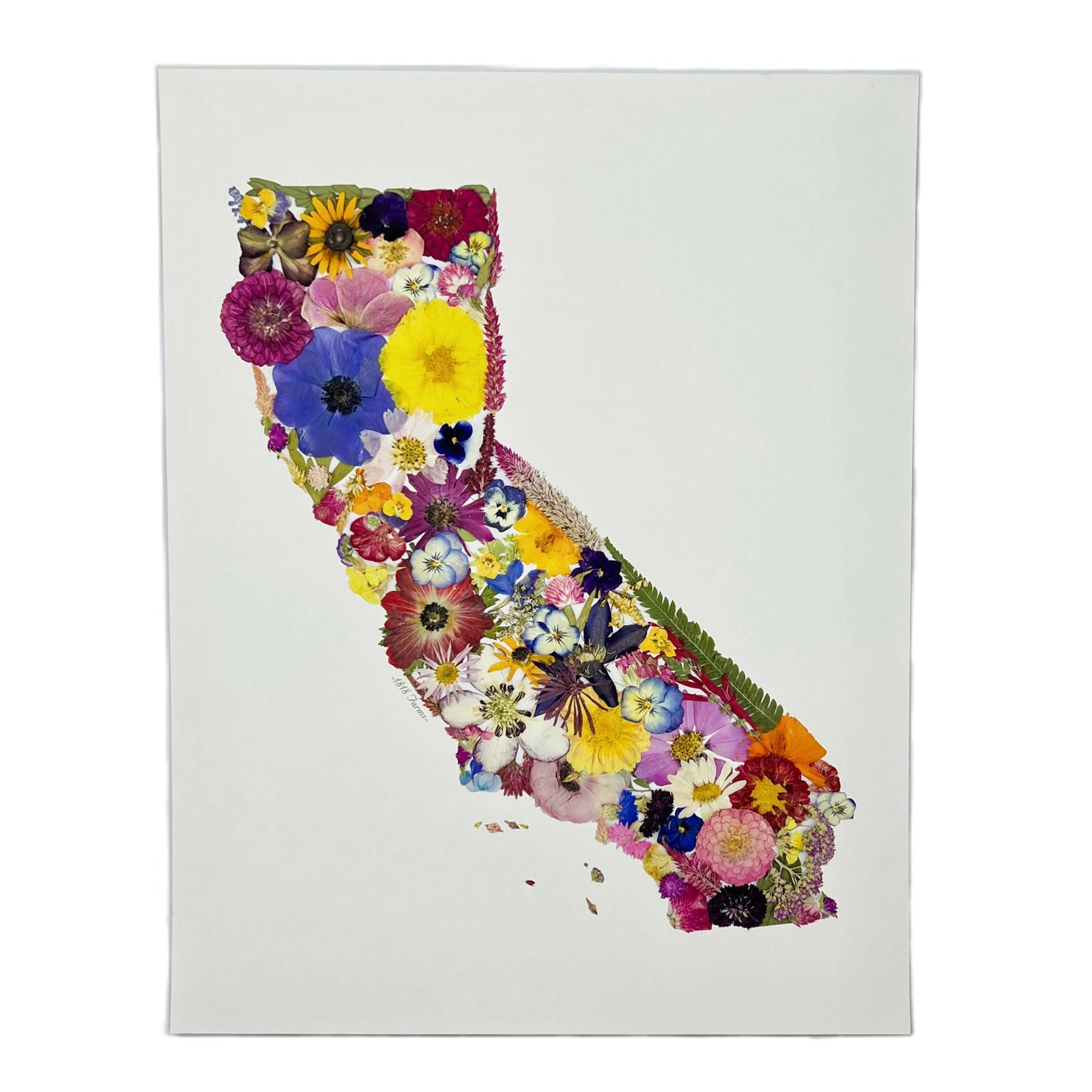 "Where I Bloom" State Giclée Print: 8" x 10" / MS