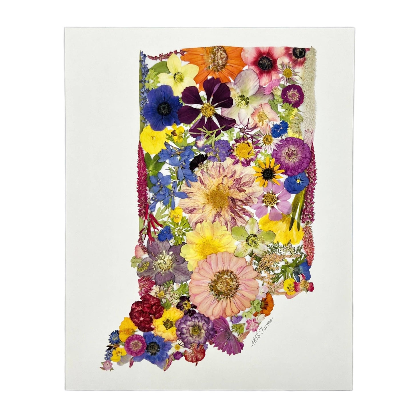 "Where I Bloom" State Giclée Print: 8" x 10" / MS