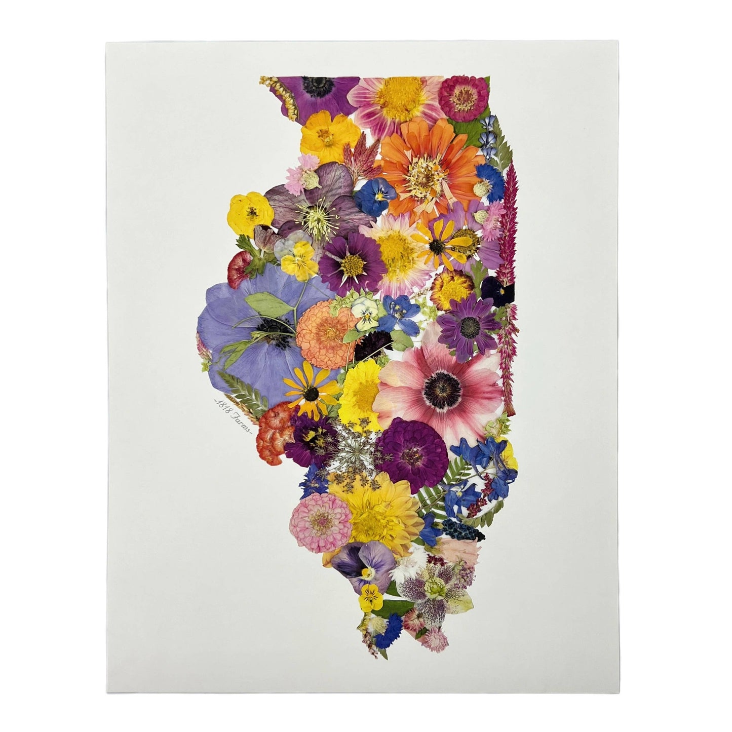 "Where I Bloom" State Giclée Print: 8" x 10" / MS