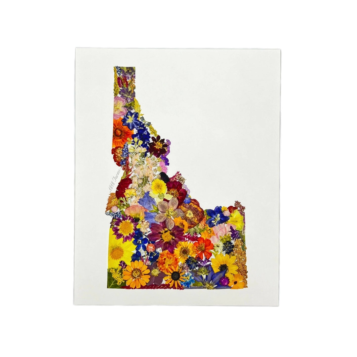 "Where I Bloom" State Giclée Print: 8" x 10" / MS