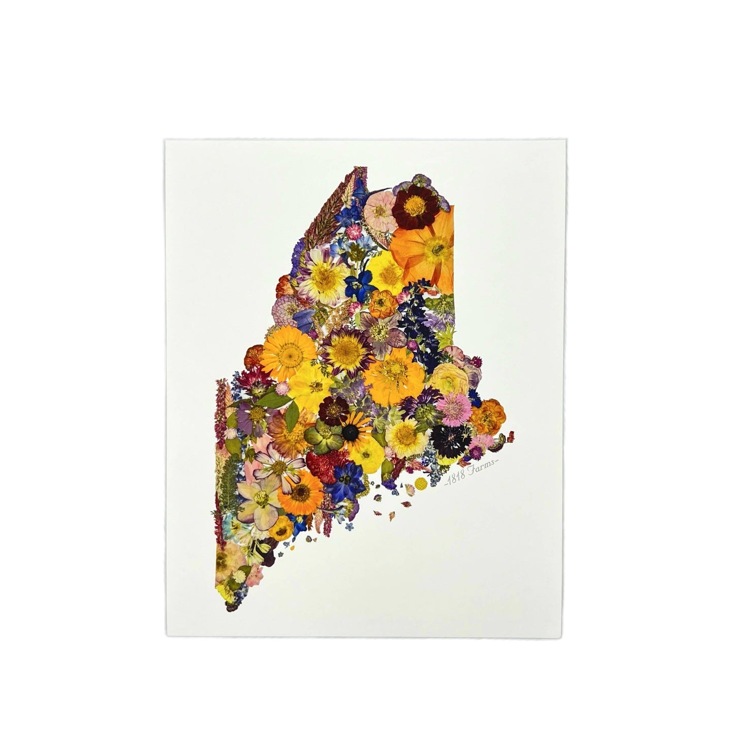 "Where I Bloom" State Giclée Print: 8" x 10" / MS