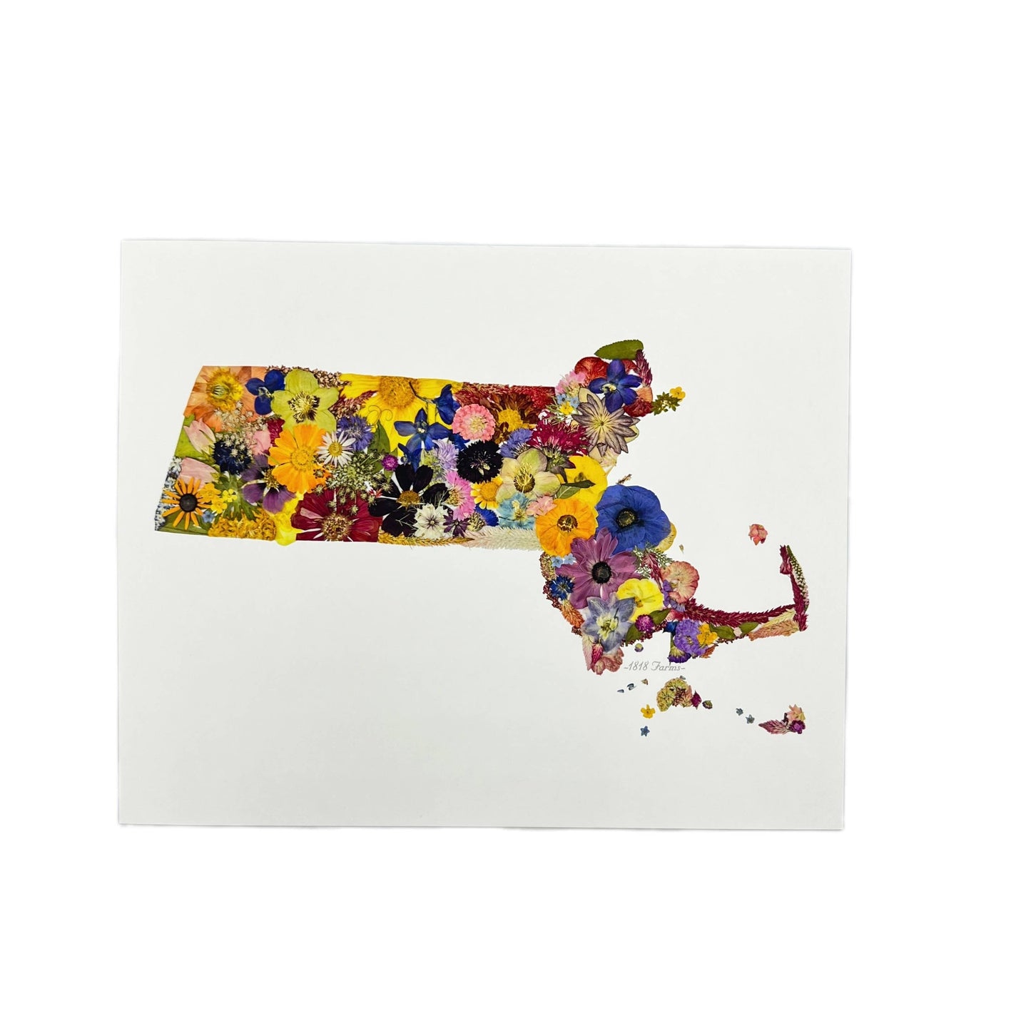 "Where I Bloom" State Giclée Print: 8" x 10" / MS