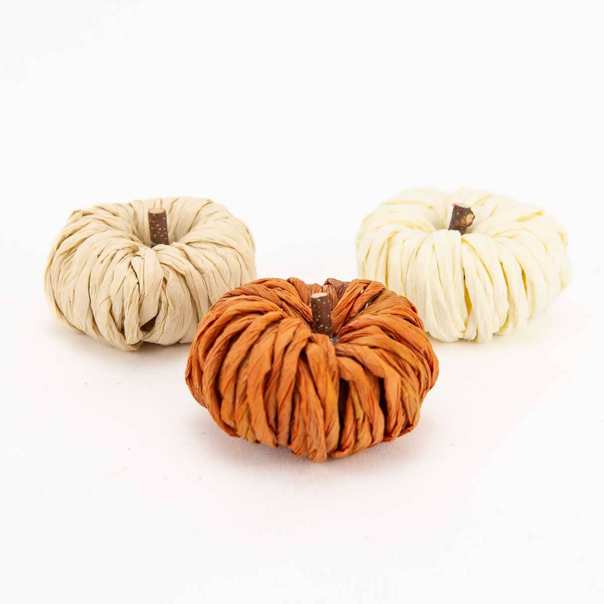 Petite Pumpkin   White   3"