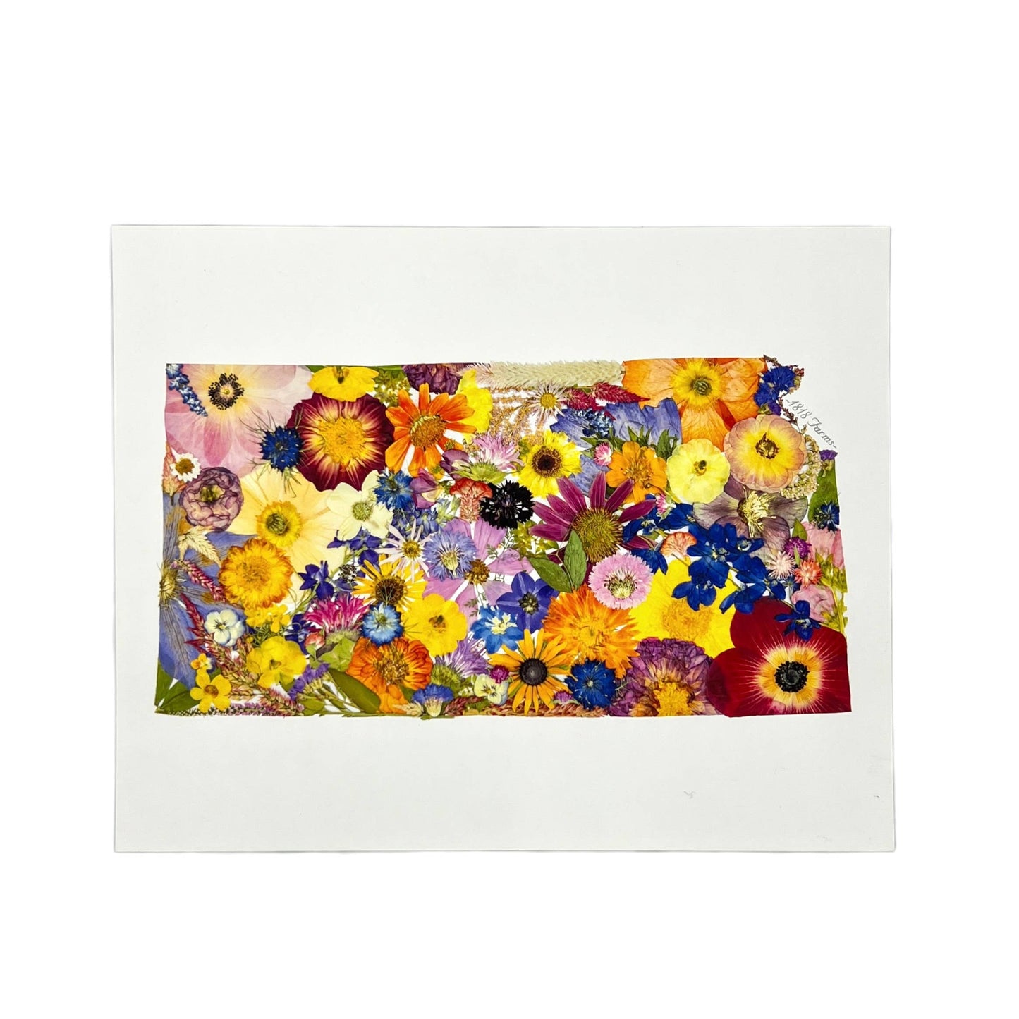 "Where I Bloom" State Giclée Print: 8" x 10" / MS