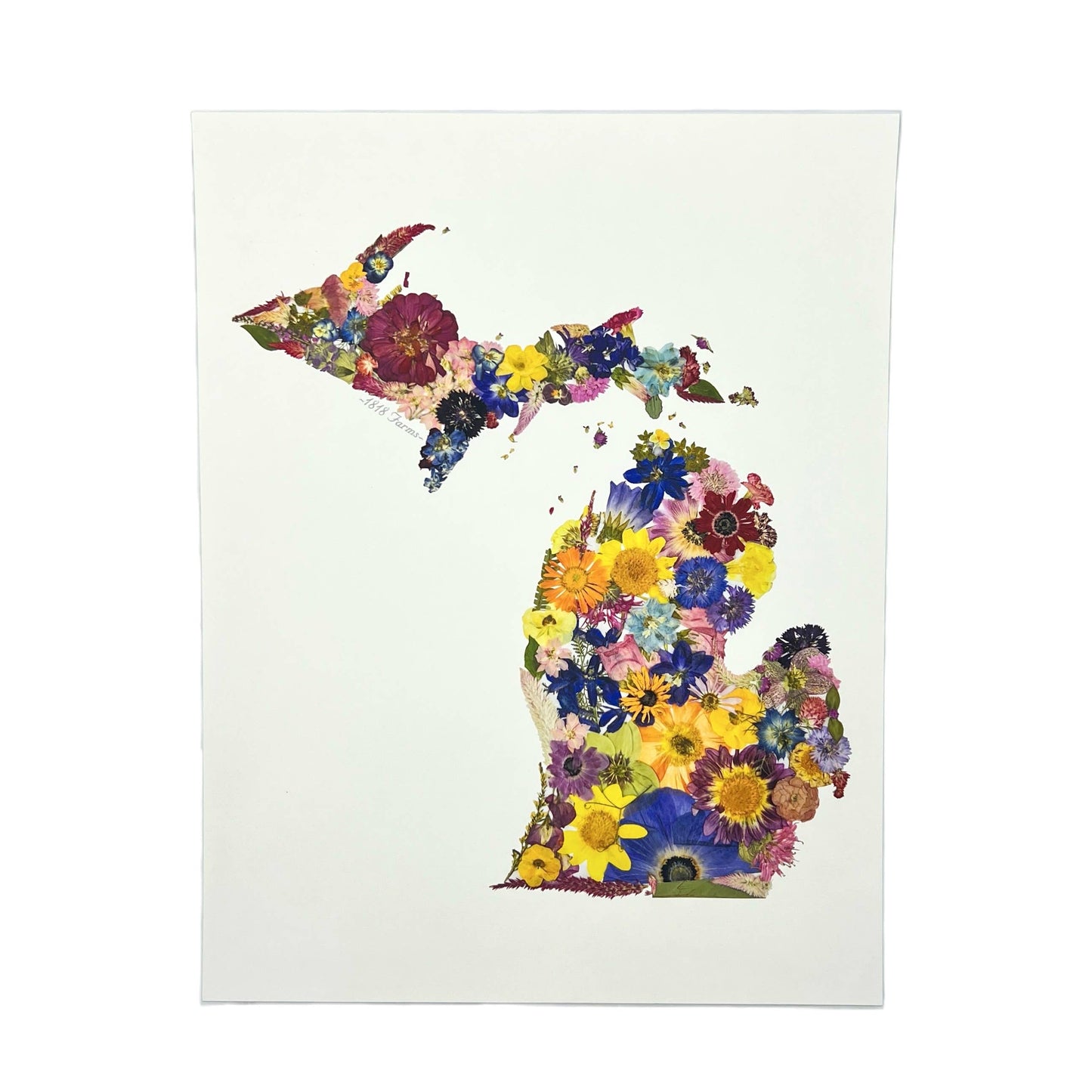 "Where I Bloom" State Giclée Print: 8" x 10" / MS