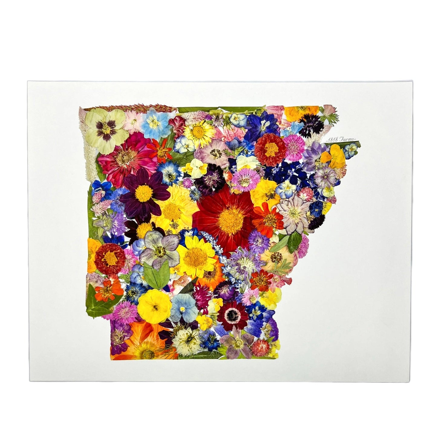 "Where I Bloom" State Giclée Print: 8" x 10" / MS
