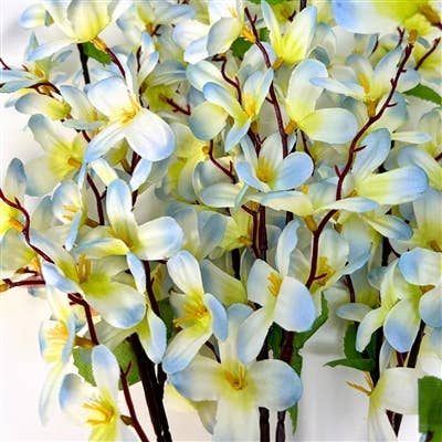 Tweedia Bush x 5 - 24” - Blue/Green