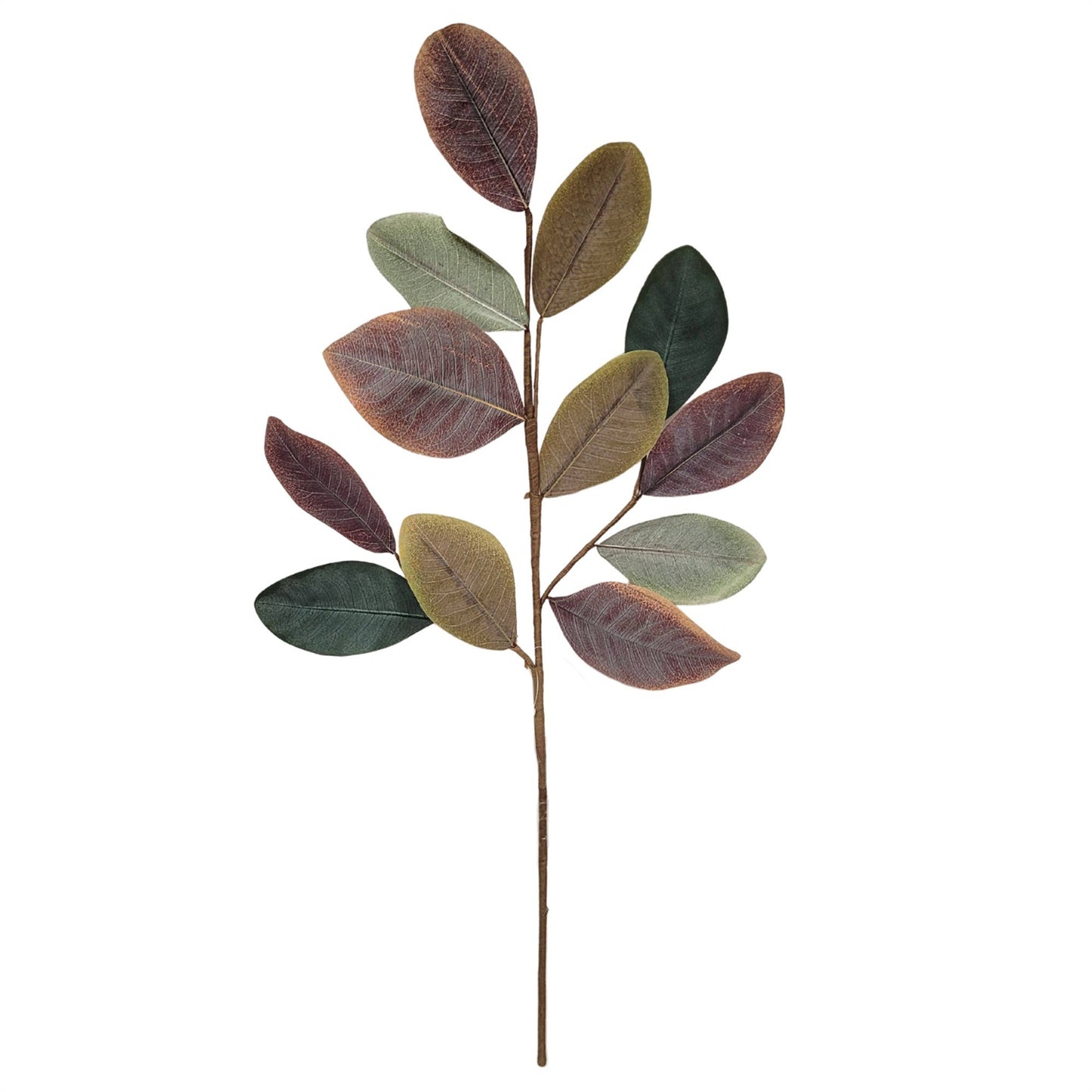 Cypress Hills Magnolia Spray 28''