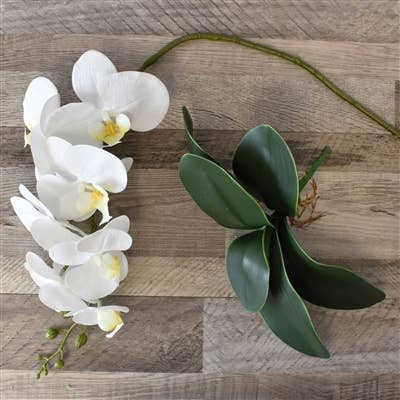 33” Phalaenopsis Spray