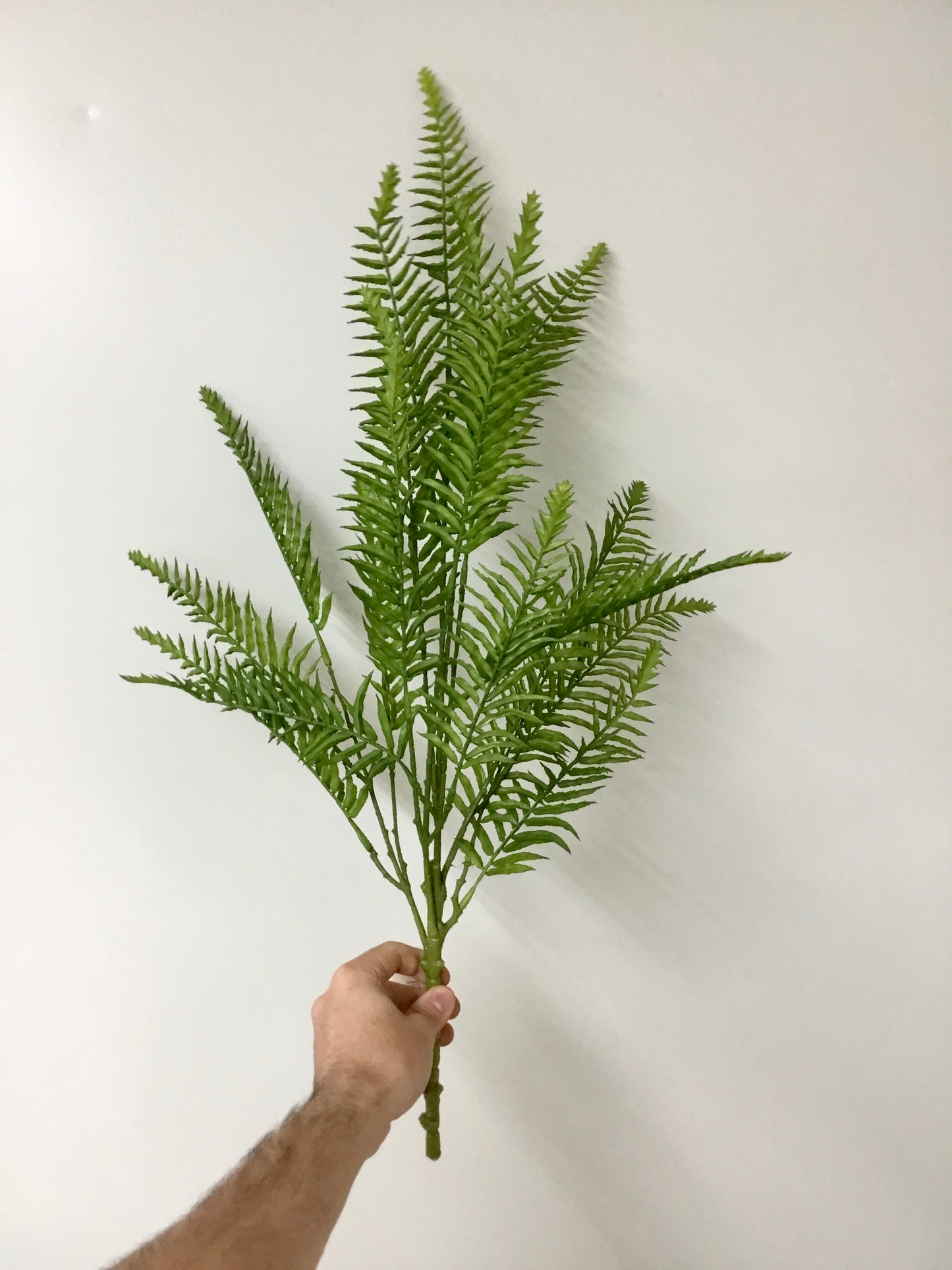 Fern Spray