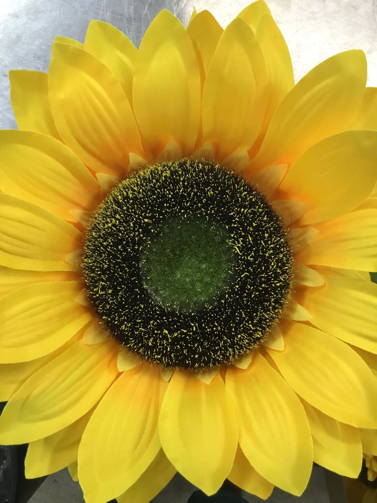 Large Sunflower Stem