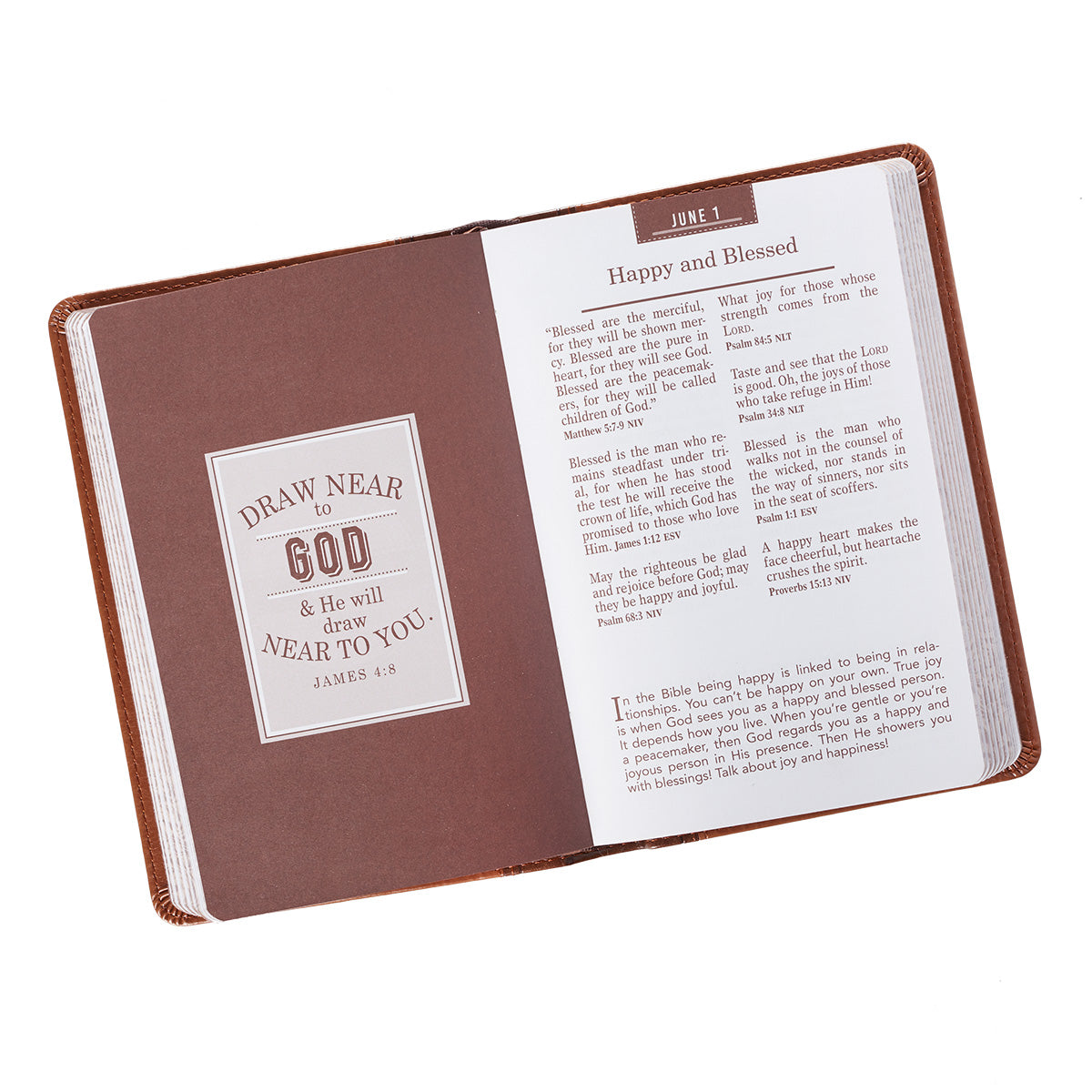Devotional Bible For Men