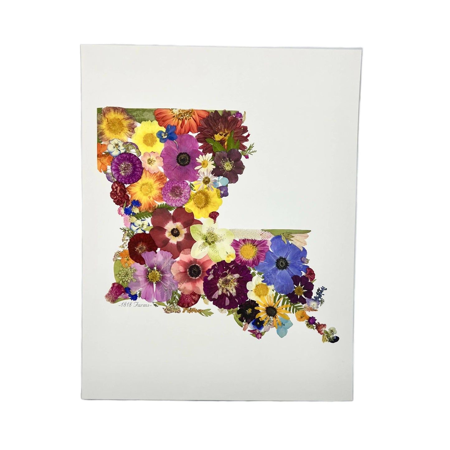 "Where I Bloom" State Giclée Print: 8" x 10" / MS