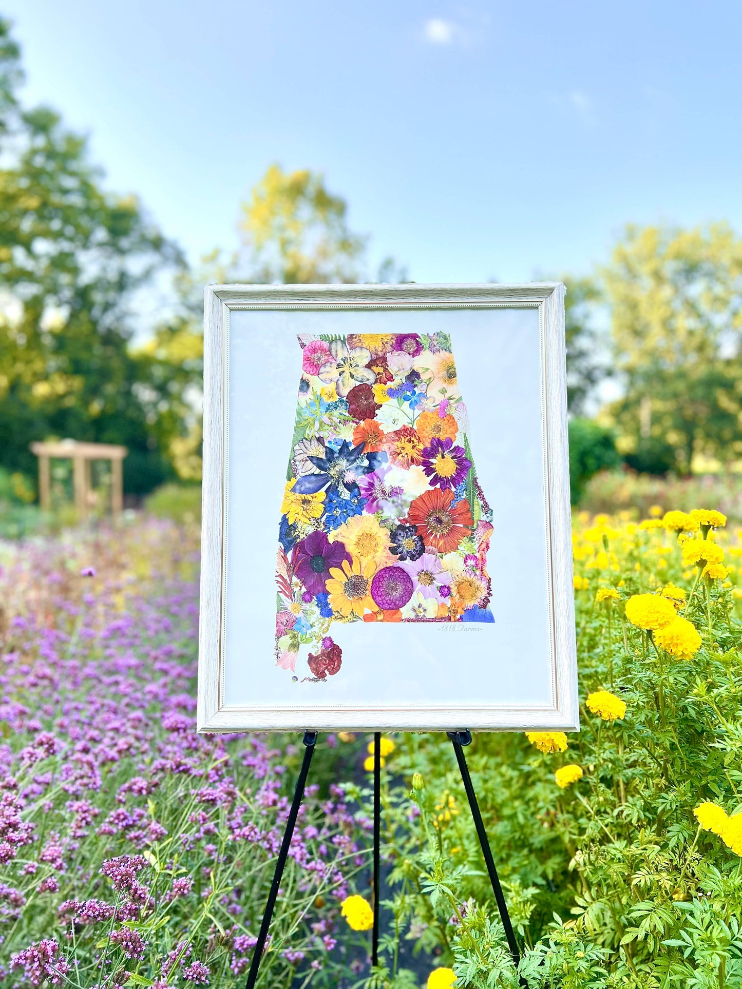 "Where I Bloom" State Giclée Print: 8" x 10" / MS