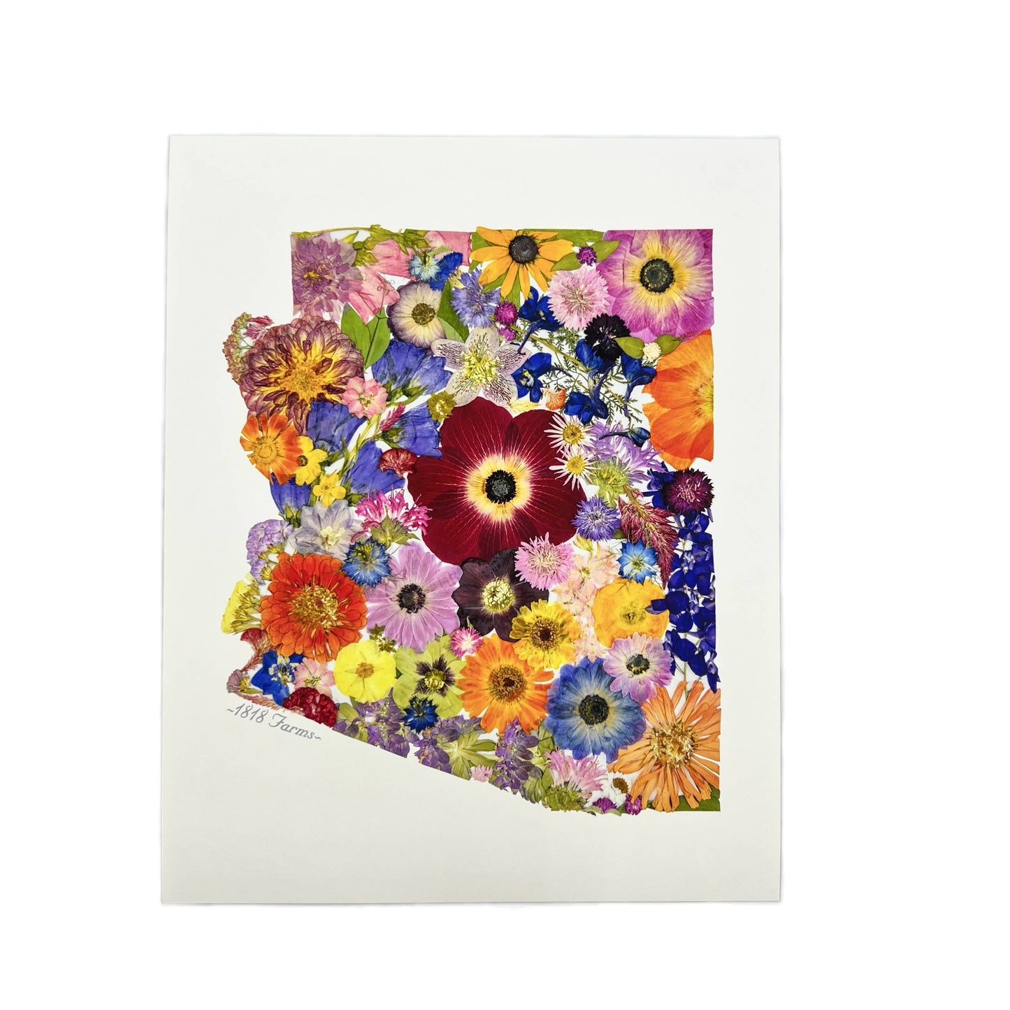 "Where I Bloom" State Giclée Print: 8" x 10" / MS