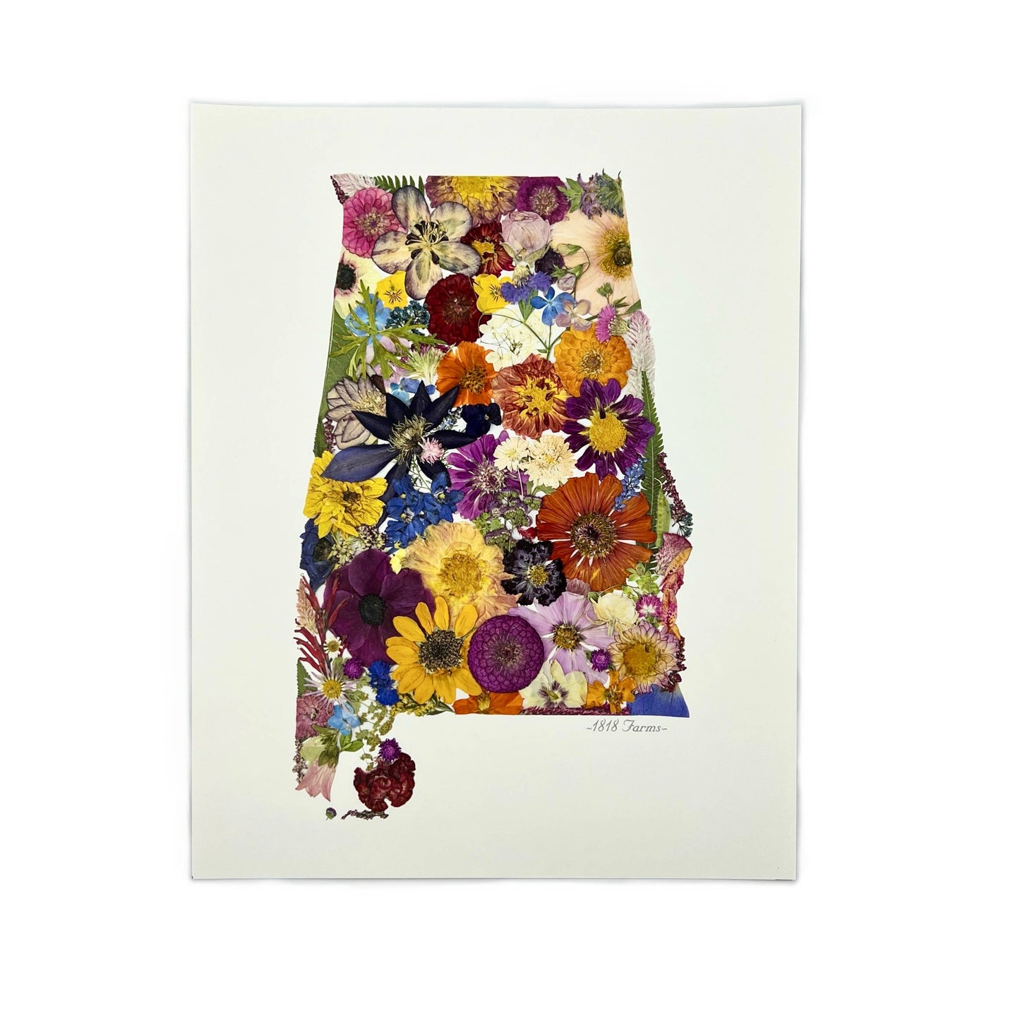 "Where I Bloom" State Giclée Print: 8" x 10" / MS