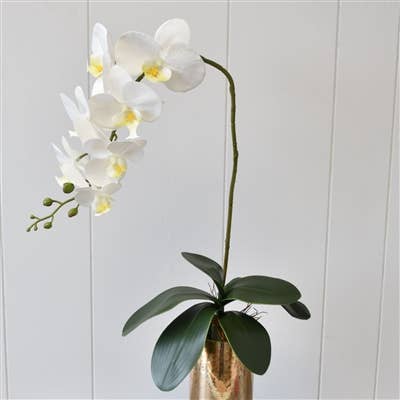 33” Phalaenopsis Spray