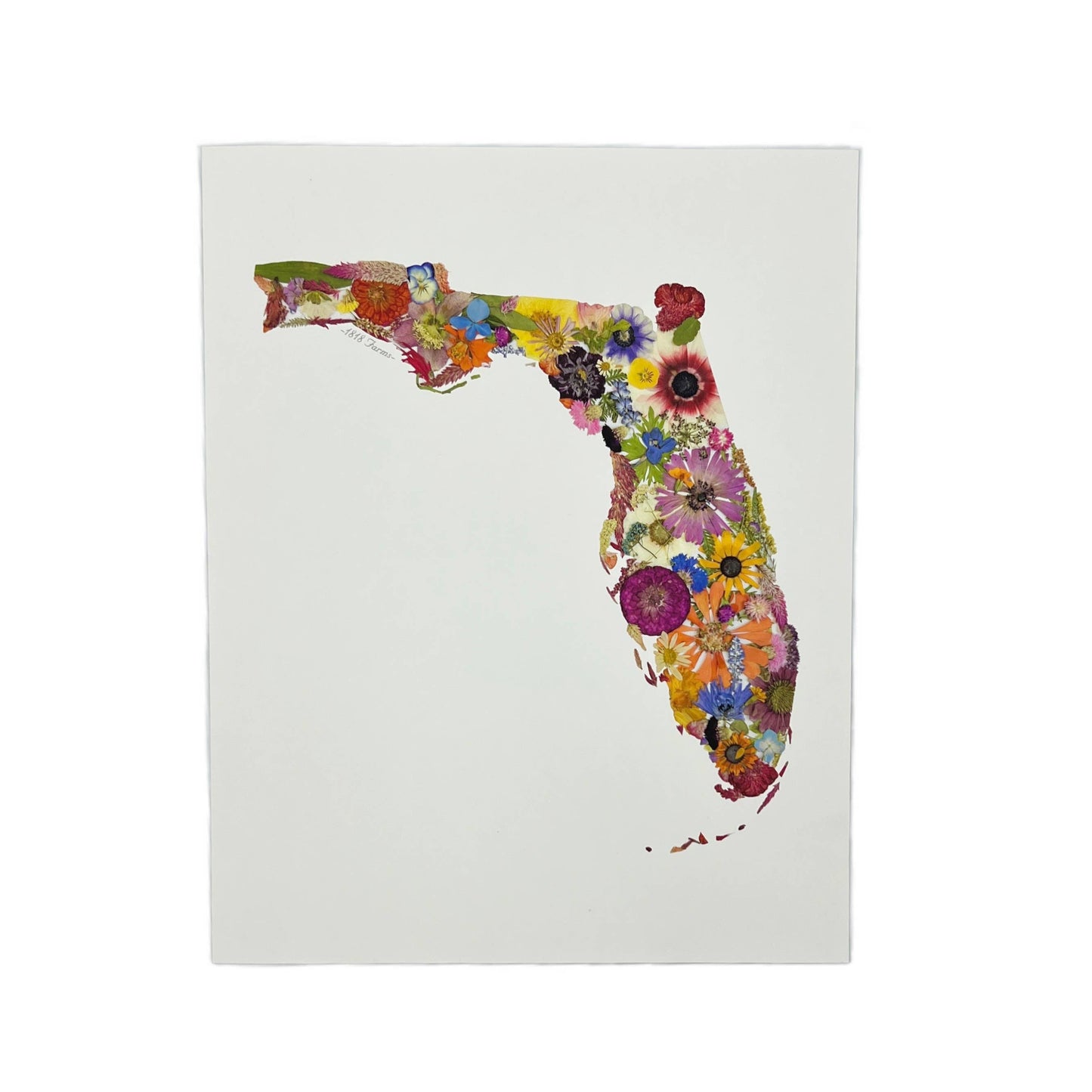 "Where I Bloom" State Giclée Print: 8" x 10" / MS