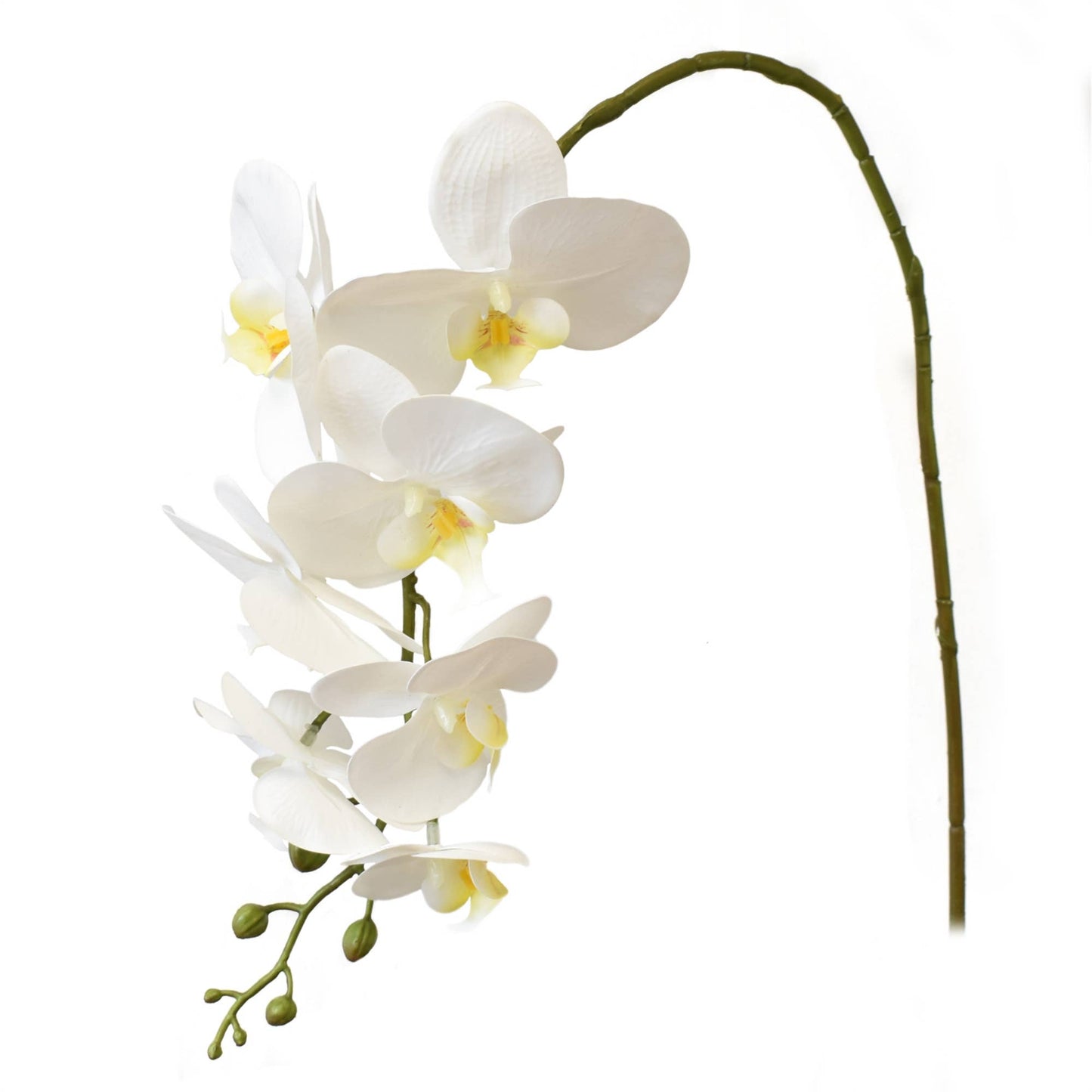 33” Phalaenopsis Spray