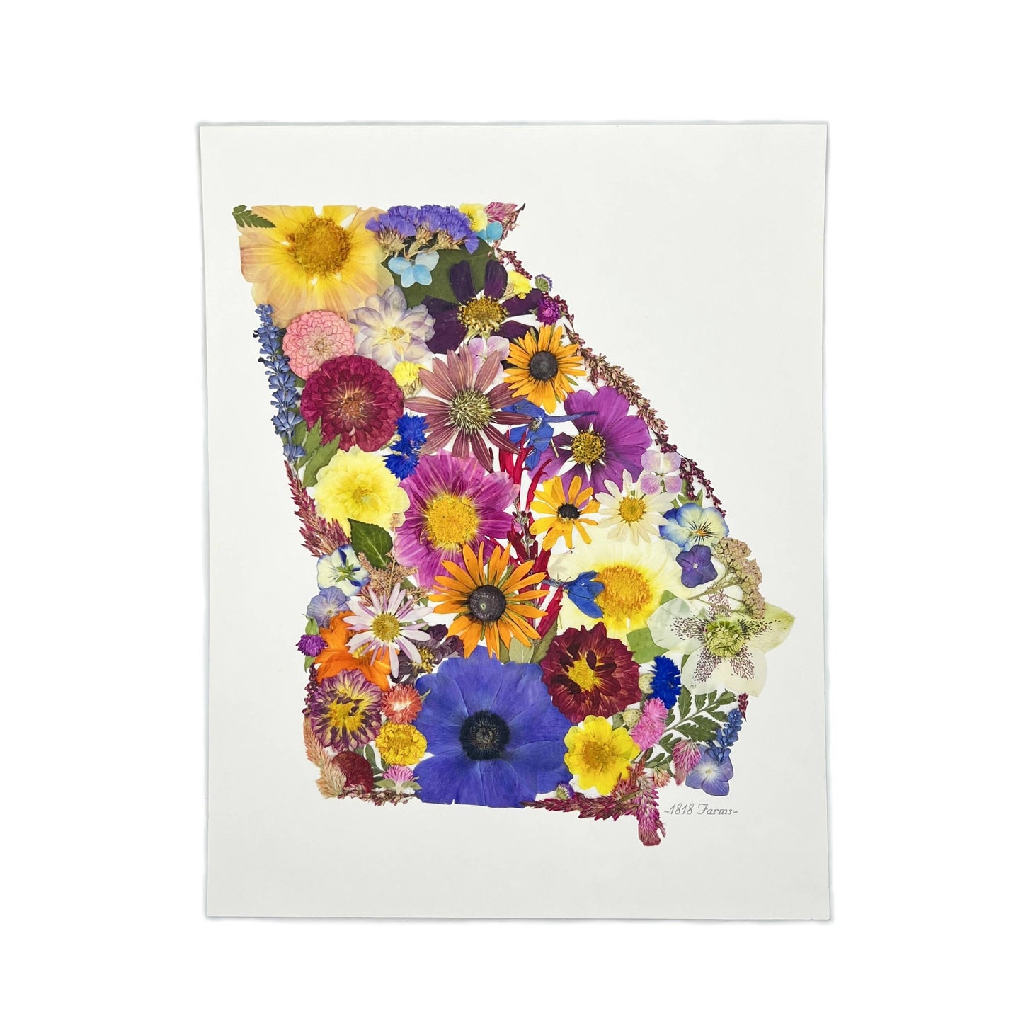 "Where I Bloom" State Giclée Print: 8" x 10" / MS