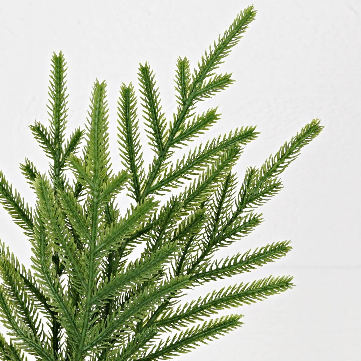 31856-18in Bush-Soft touch Evergreen Norfolk Pine-
