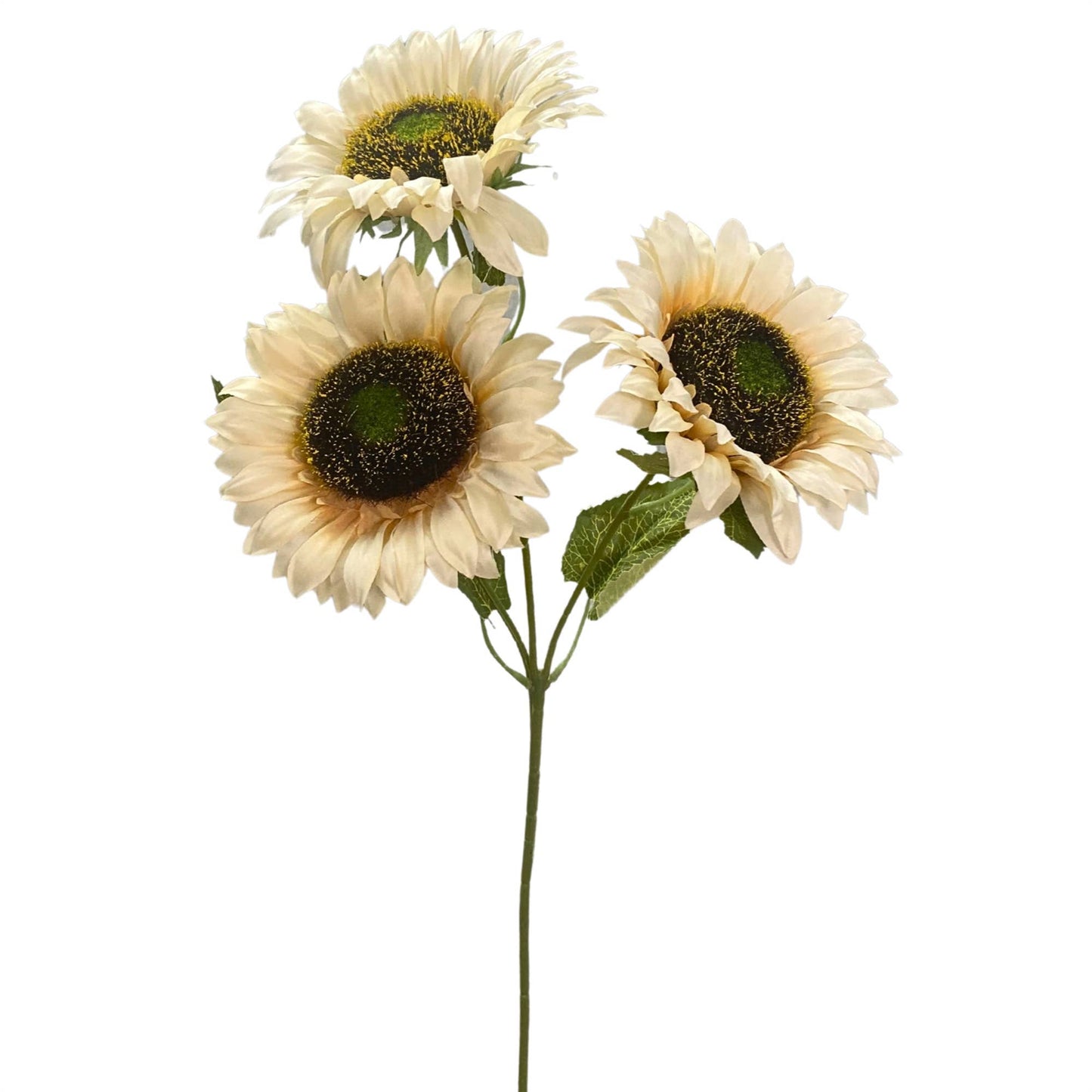 Sunset Meadows Sunflower Spray x 3 25" - White/Cream