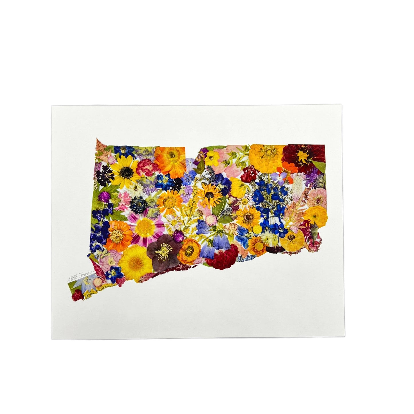 "Where I Bloom" State Giclée Print: 8" x 10" / MS