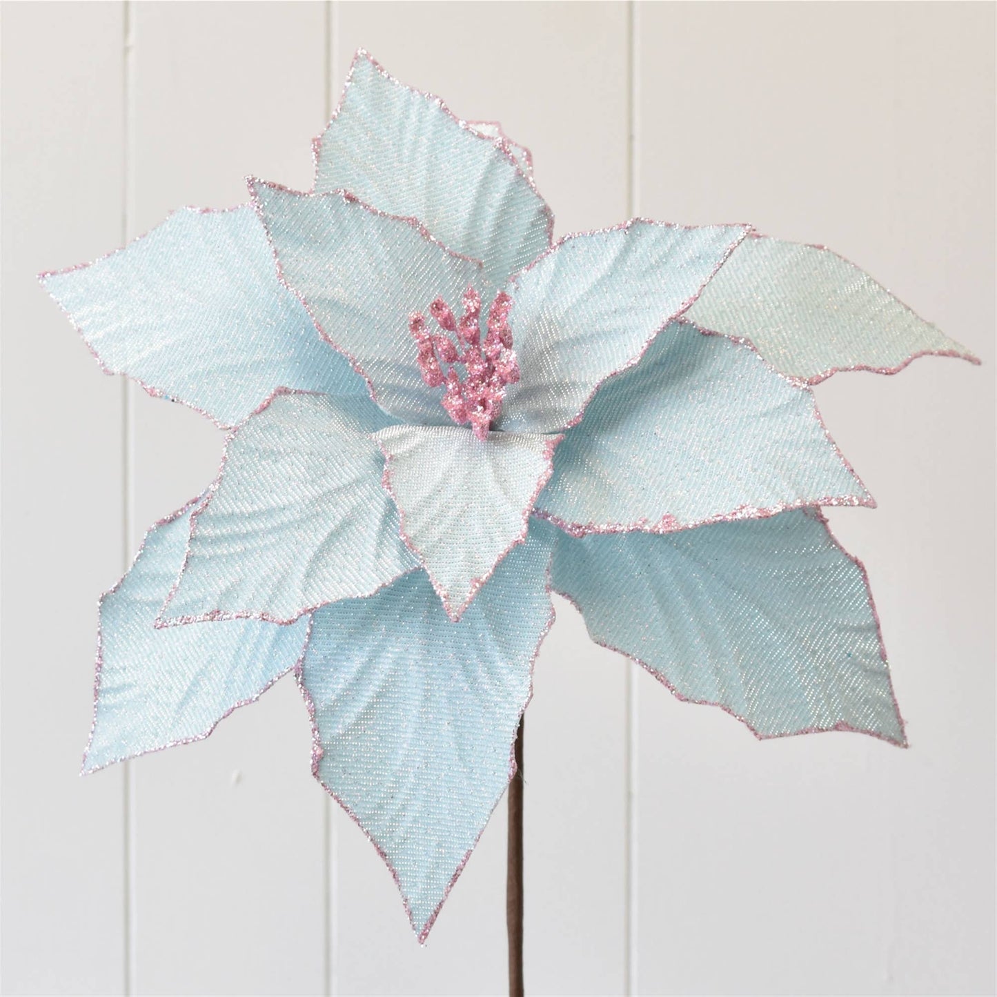 Lt Blue Shimmering Poinsettia w/ Pink Glitter Edge - Blue/Pi