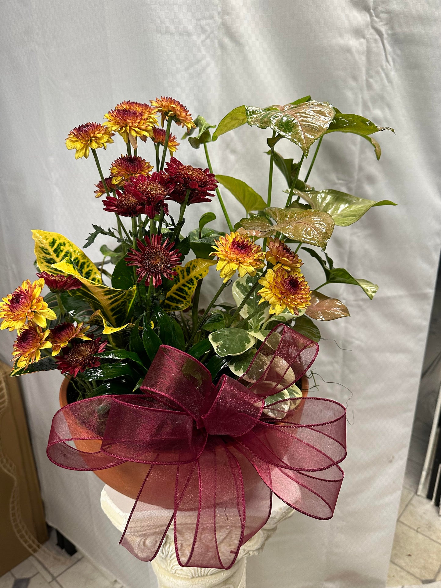 Dish Garden Planters