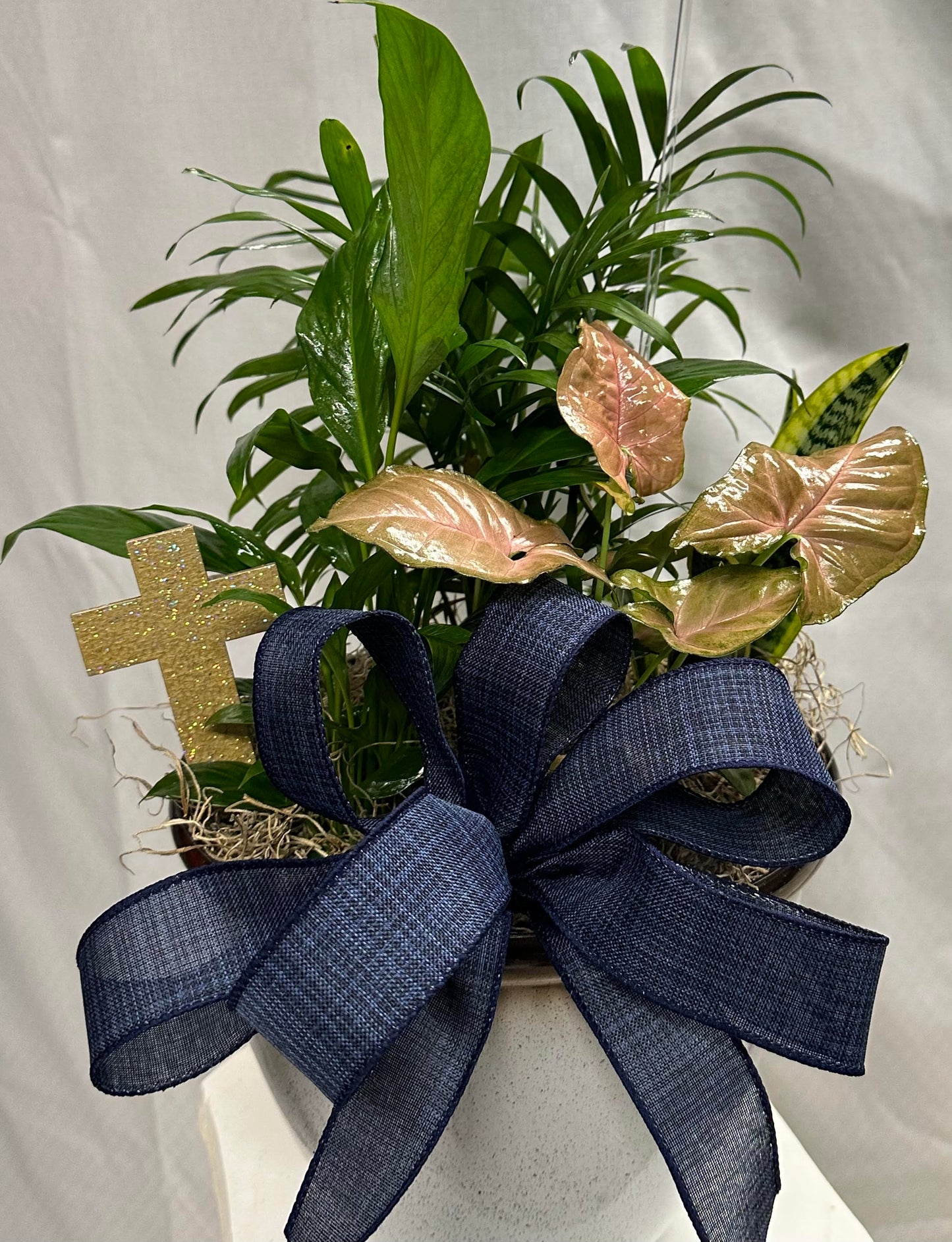 Dish Garden Planters