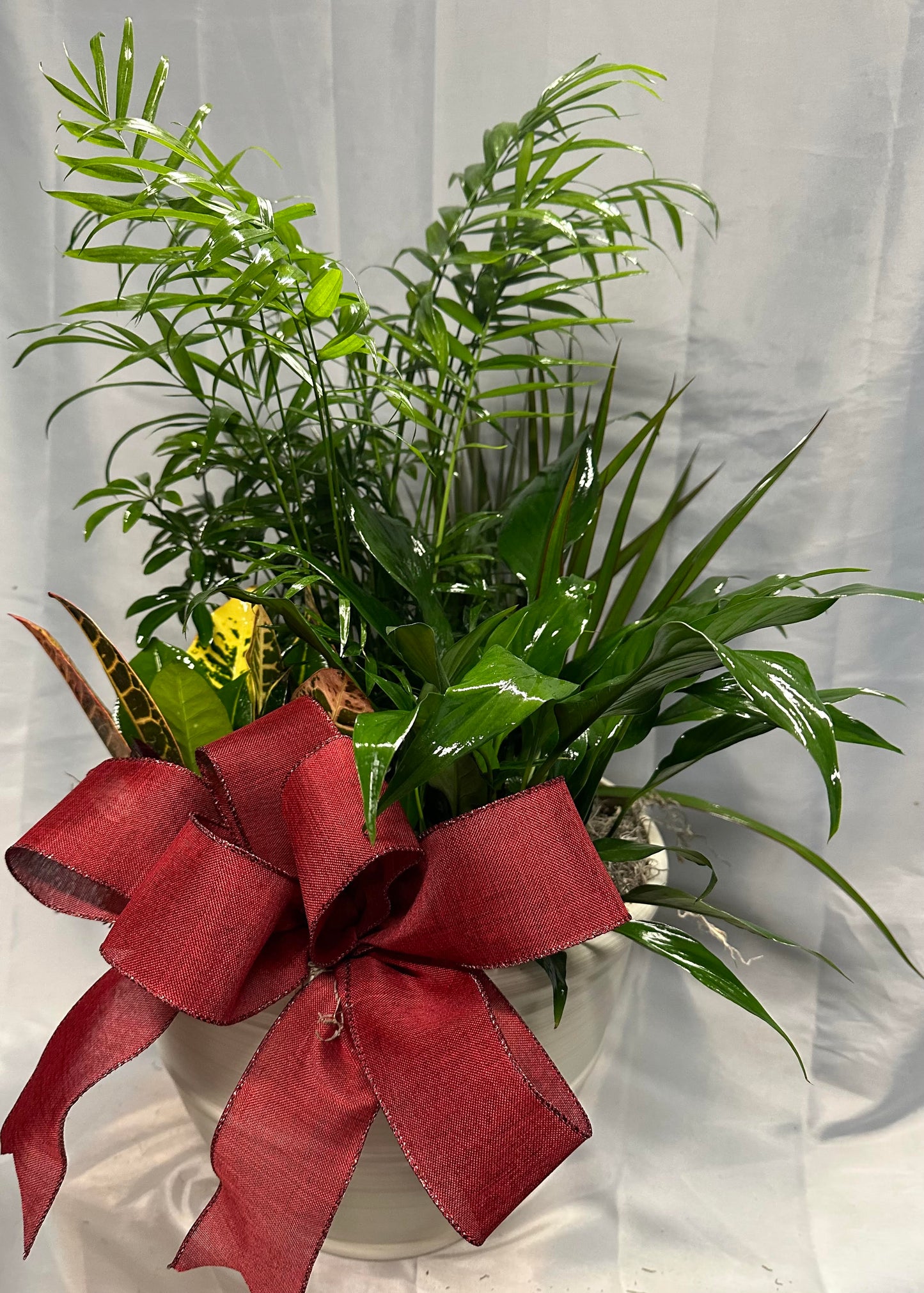 Dish Garden Planters