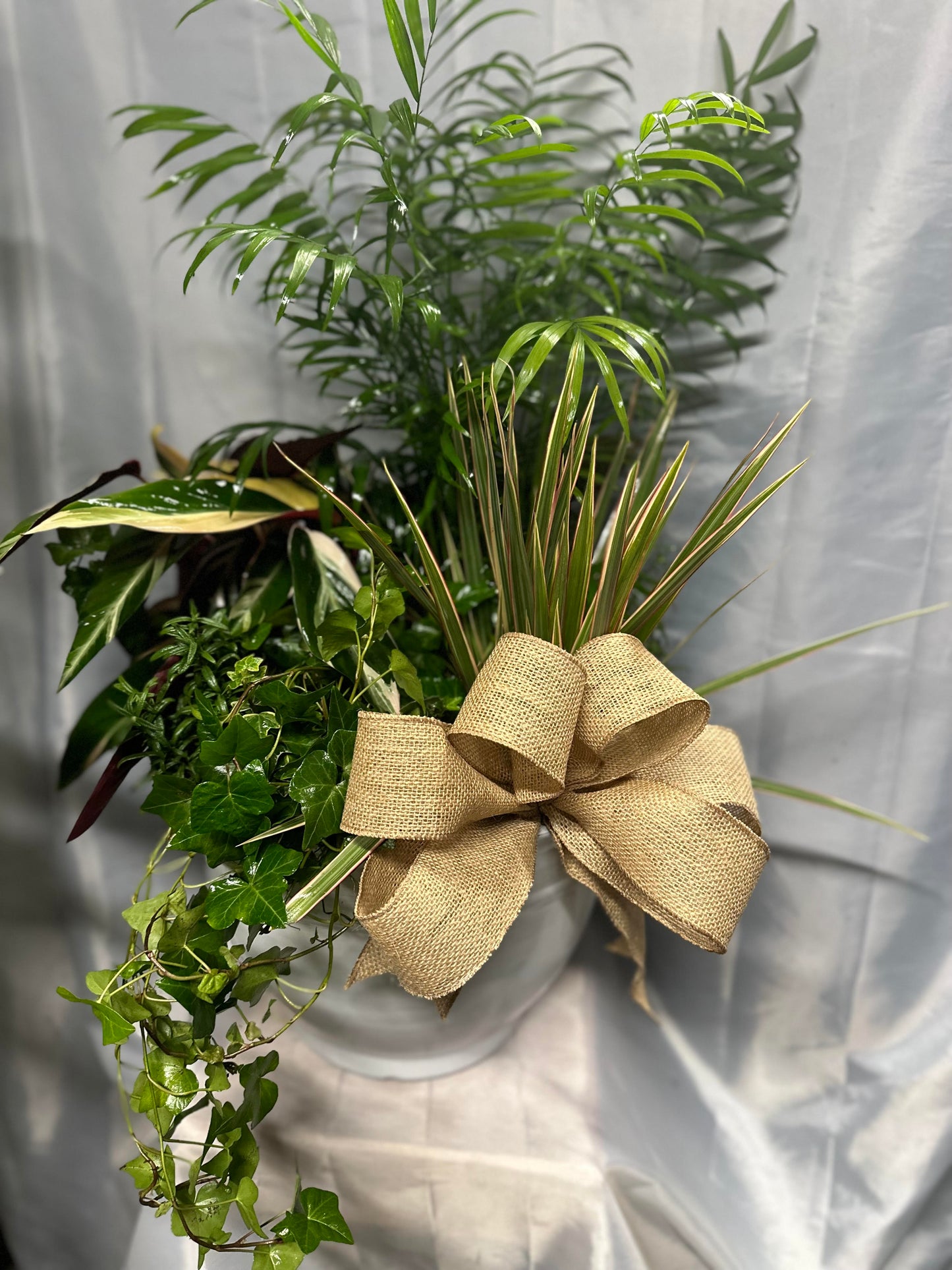 Dish Garden Planters