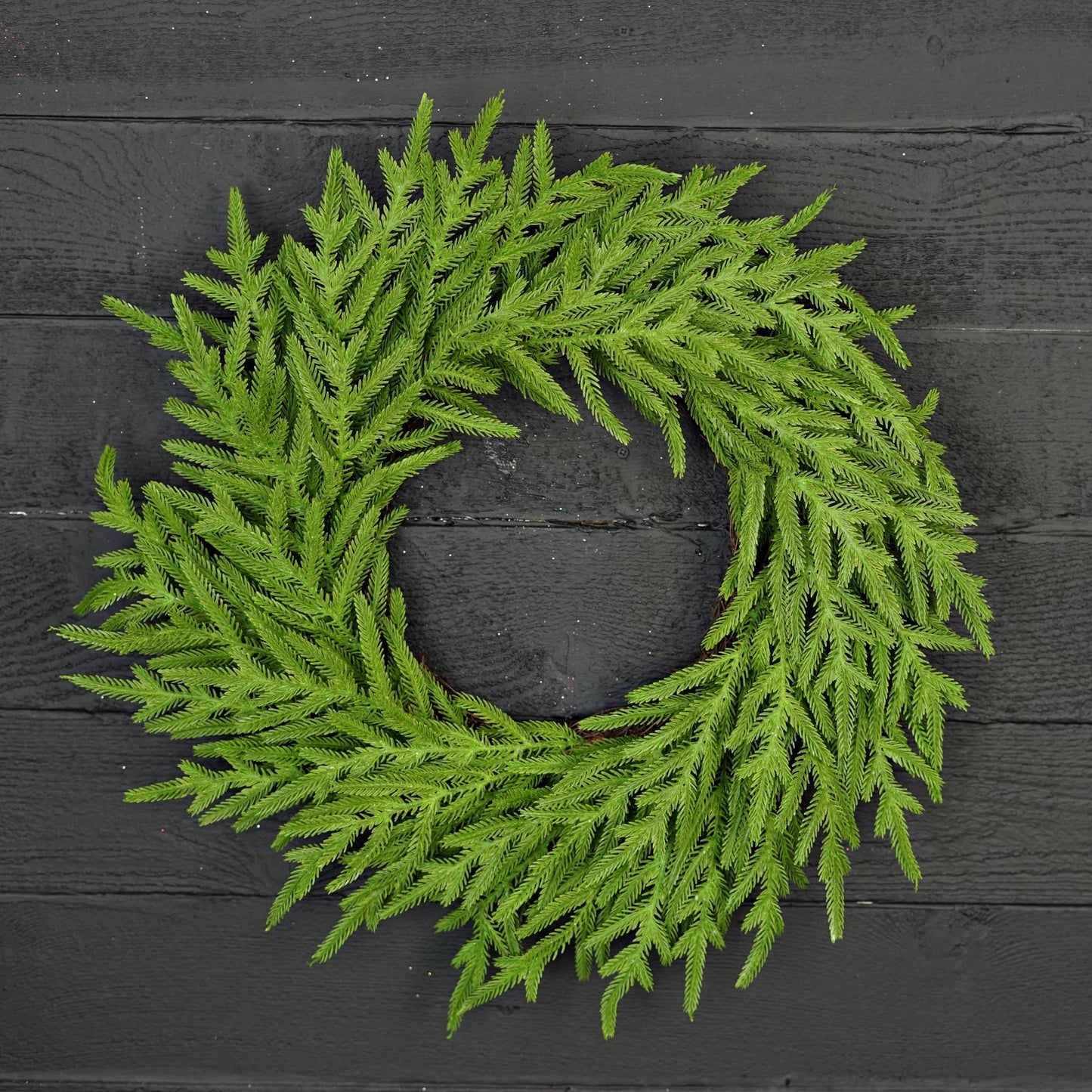 24in Twig Wreath-Soft Touch Evergreen Norfolk Pine-