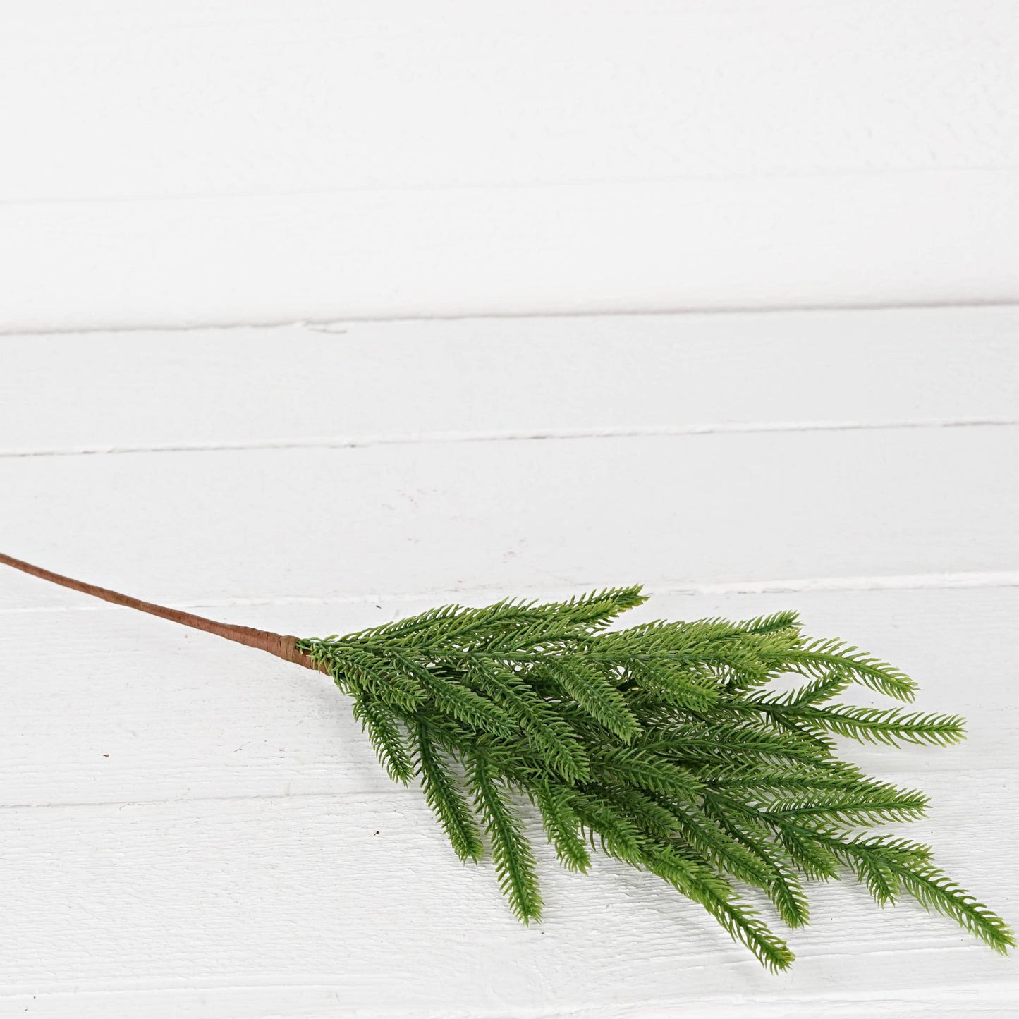 31856-18in Bush-Soft touch Evergreen Norfolk Pine-