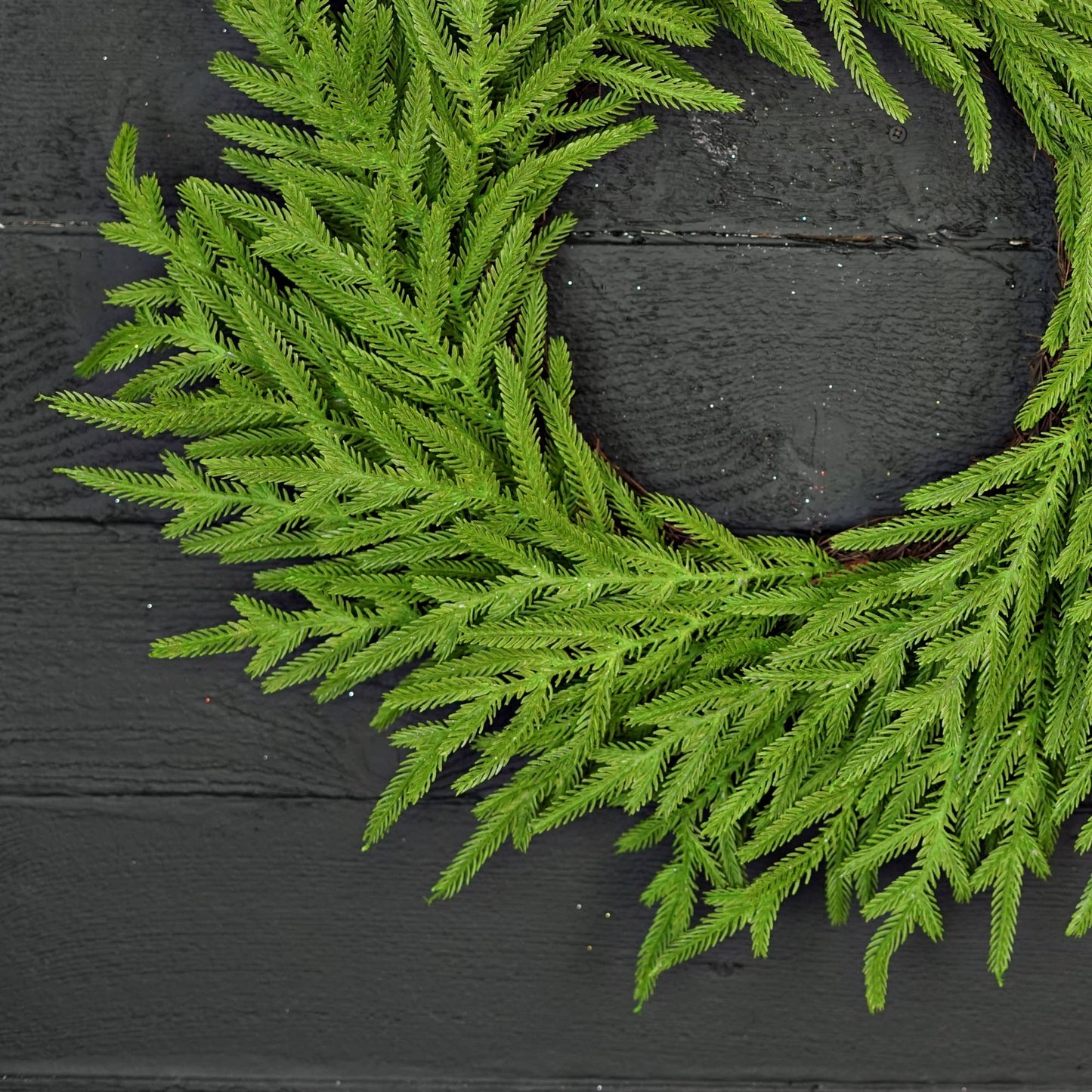 24in Twig Wreath-Soft Touch Evergreen Norfolk Pine-
