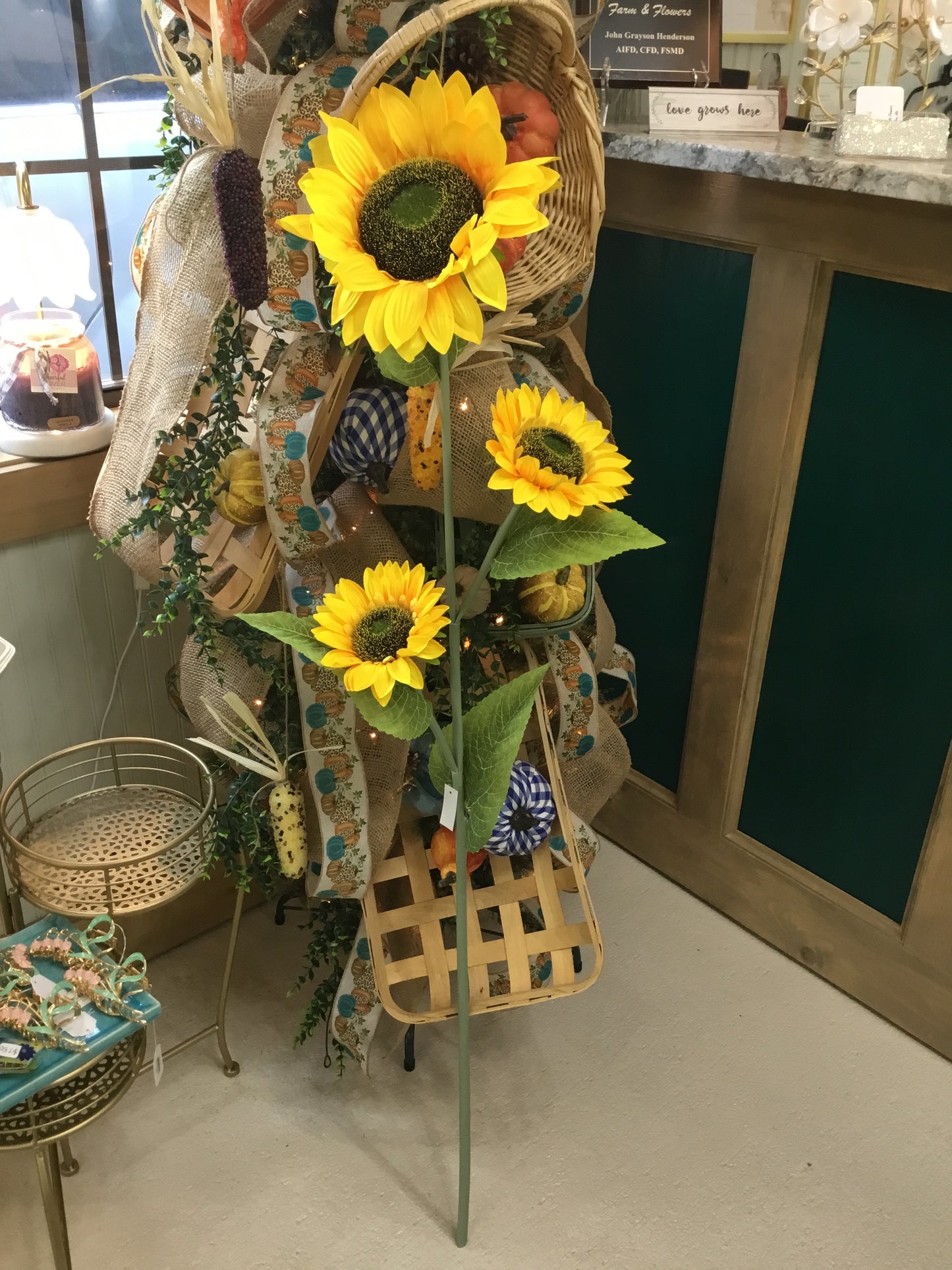 Large Branching Sunflower Stem