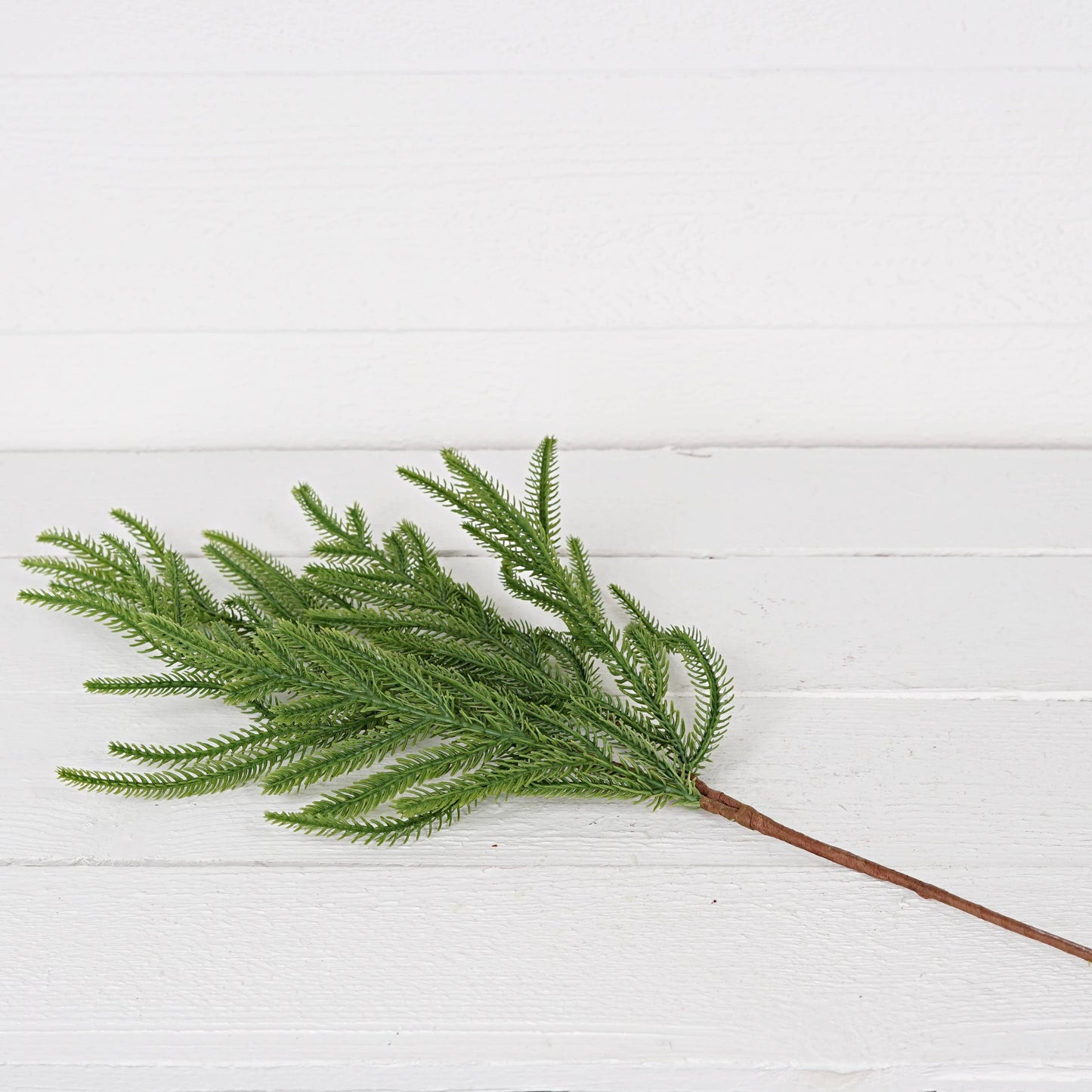 31856-18in Bush-Soft touch Evergreen Norfolk Pine-