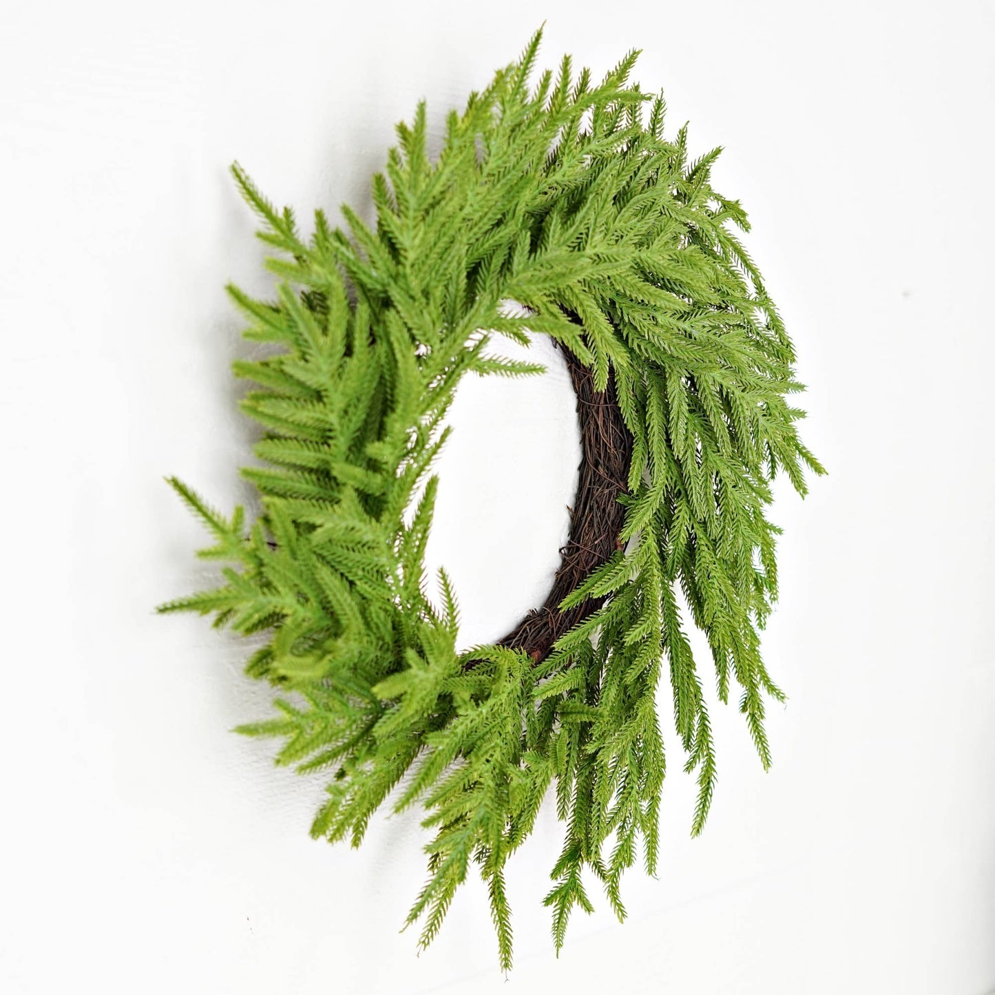 24in Twig Wreath-Soft Touch Evergreen Norfolk Pine-