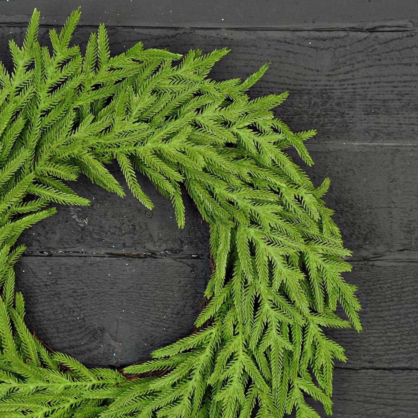 24in Twig Wreath-Soft Touch Evergreen Norfolk Pine-