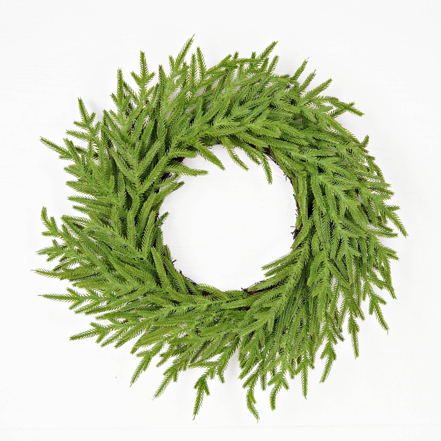 24in Twig Wreath-Soft Touch Evergreen Norfolk Pine-