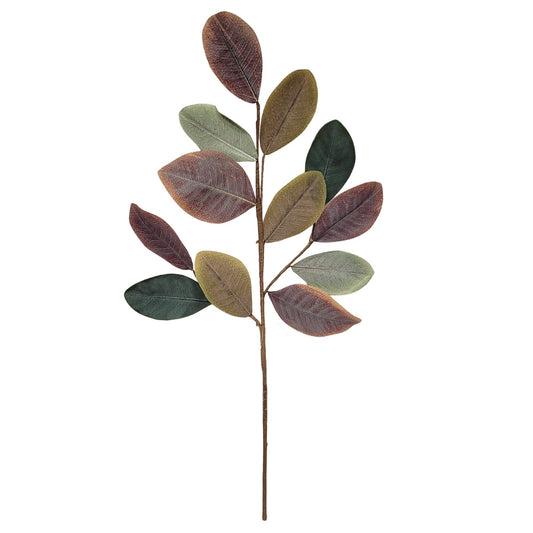 Cypress Hills Magnolia Spray 28''