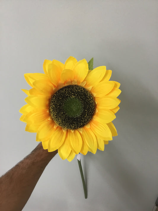 Large Sunflower Stem