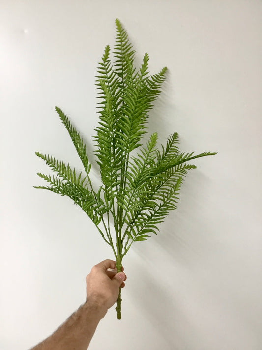 Fern Spray
