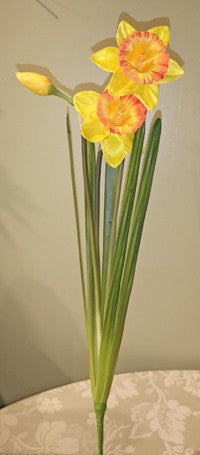 Daffodil Bundle